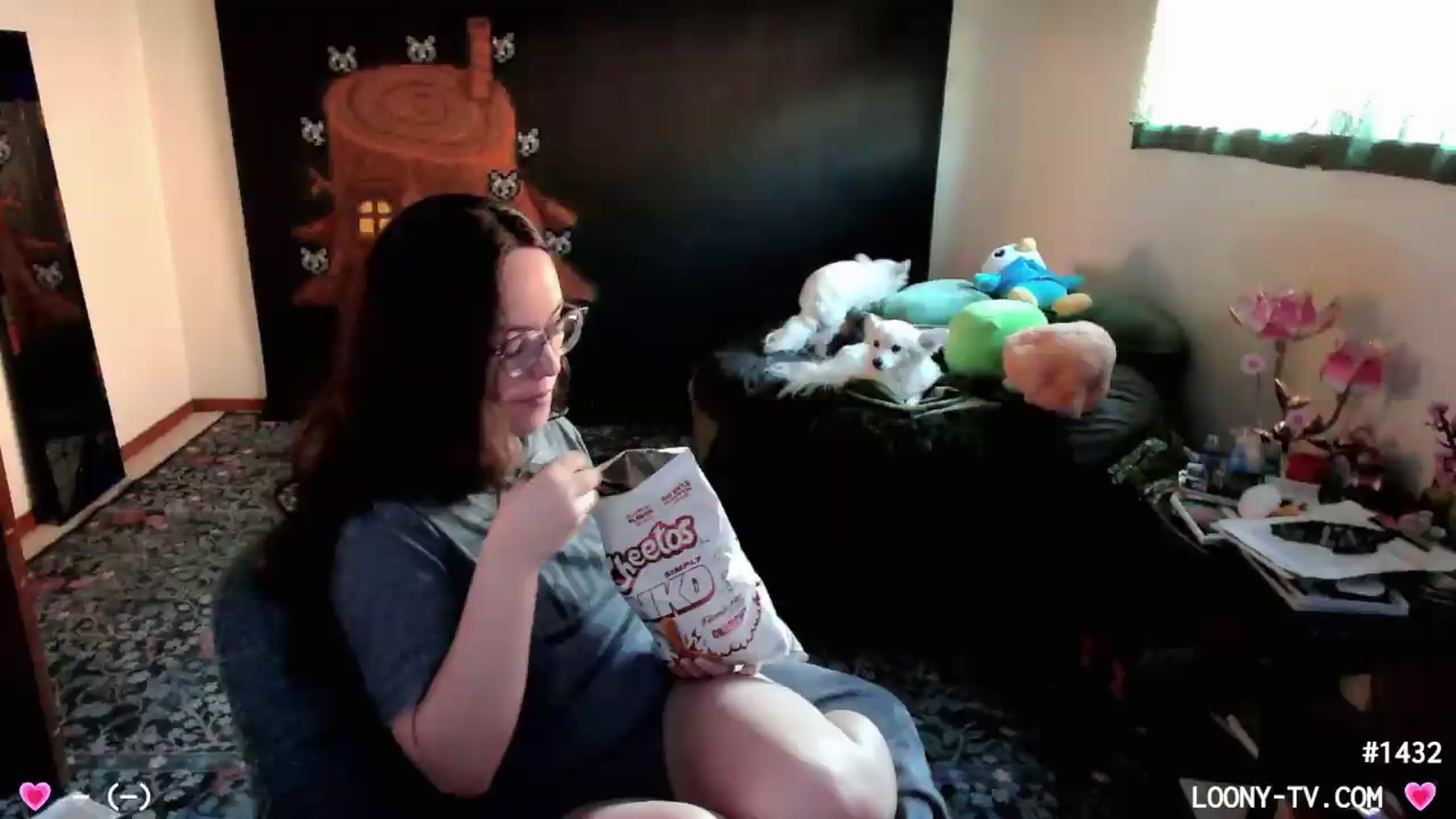 Gallery image thumbnail from LoonyTV's myfreecams stream on, 08/18/2026, 23:45 image 1 of 20