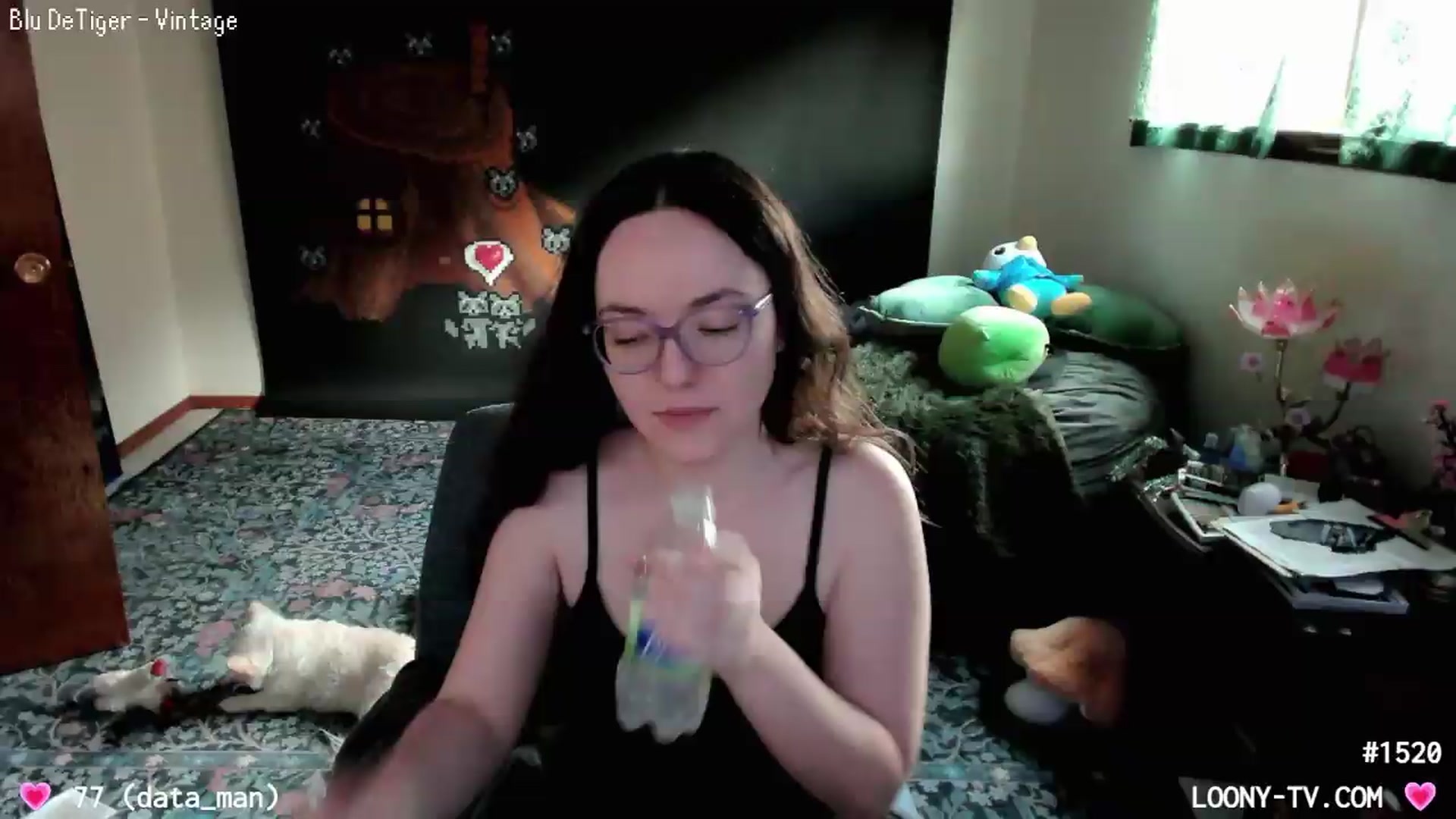 Gallery image thumbnail from LoonyTV's myfreecams stream on, 08/21/2026, 24:25 image 15 of 20