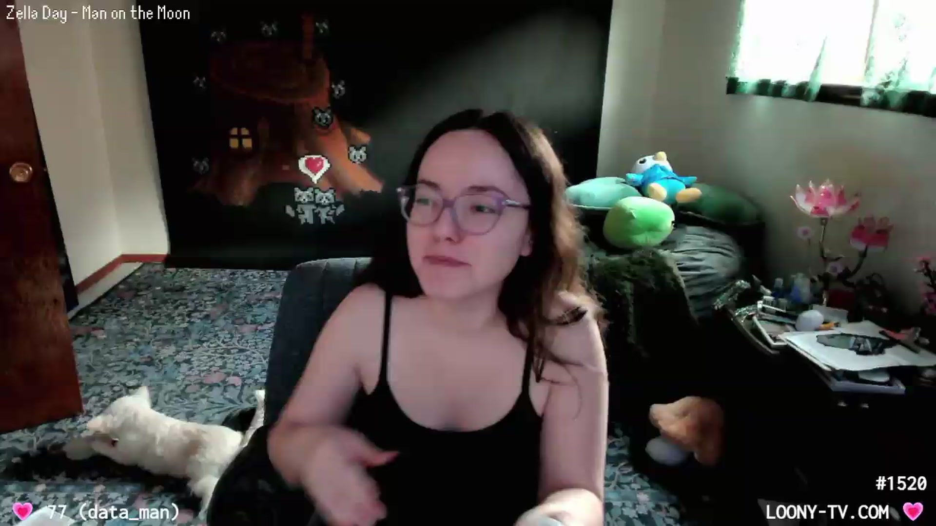Gallery image thumbnail from LoonyTV's myfreecams stream on, 08/21/2026, 24:25 image 14 of 20