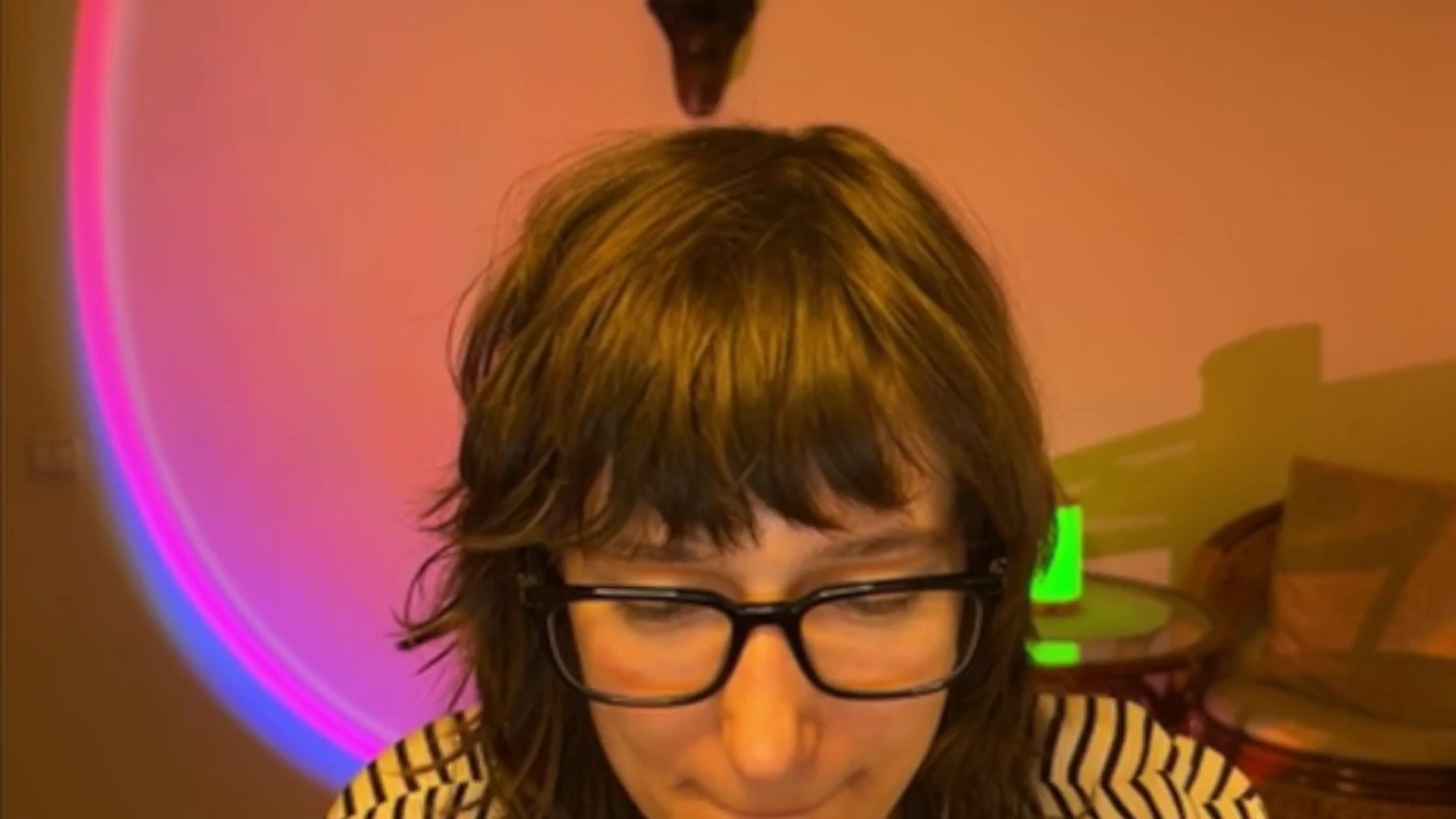 Gallery image thumbnail from LoooneyTunes's myfreecams stream on, 04/08/2025, 18:29 image 4 of 20