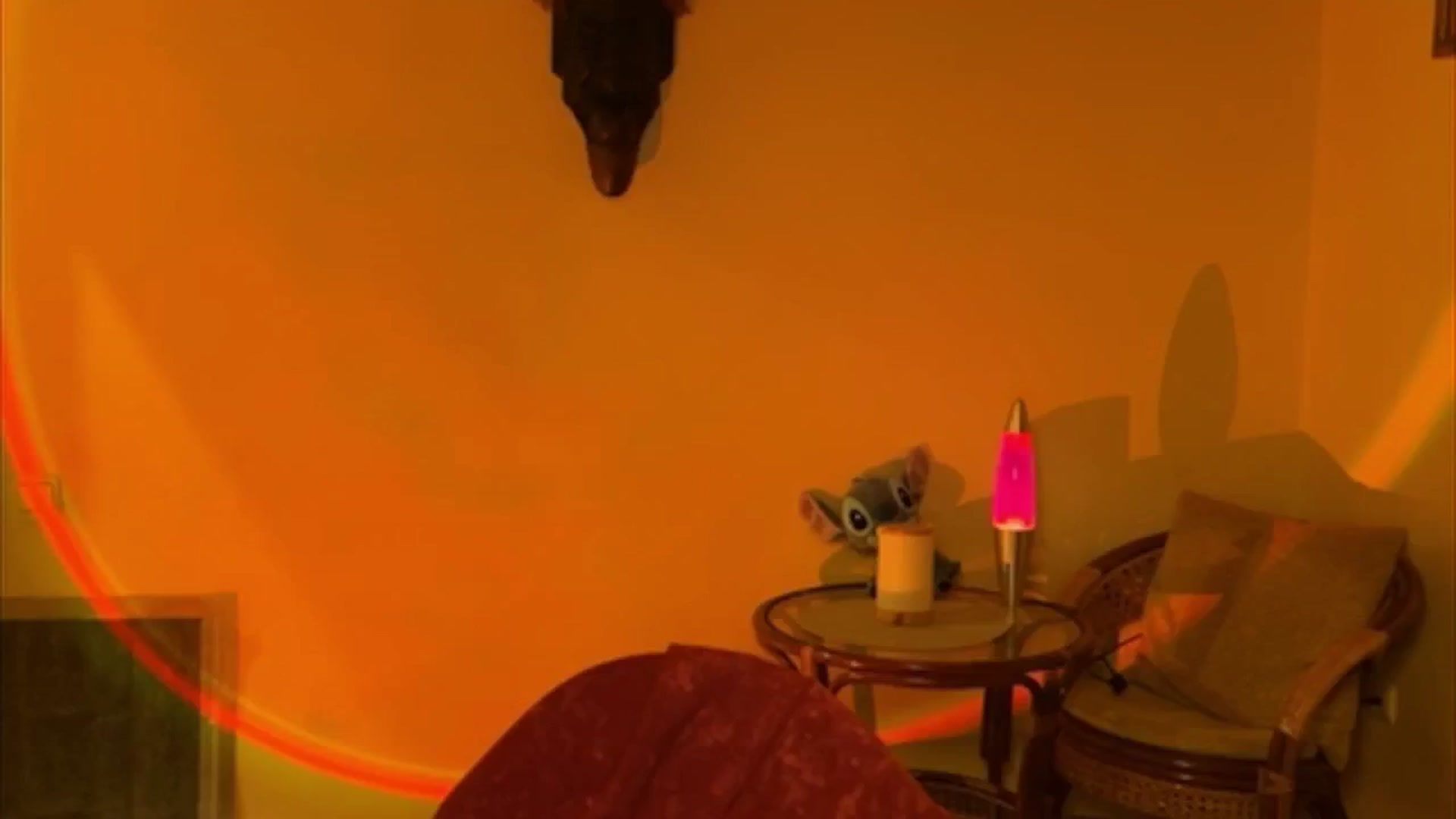 Gallery image thumbnail from LoooneyTunes's myfreecams stream on, 04/16/2025, 21:43 image 8 of 20