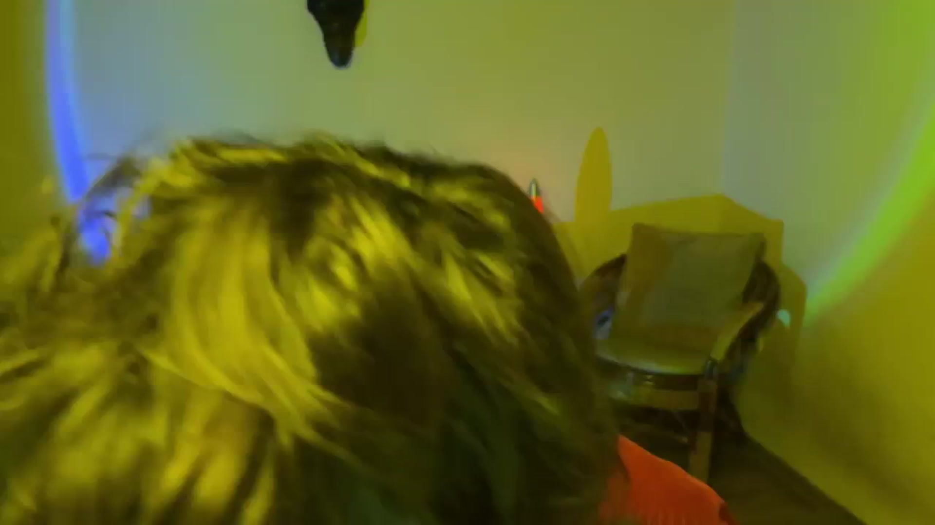 Gallery image thumbnail from LoooneyTunes's myfreecams stream on, 07/20/2025, 12:48 image 6 of 20
