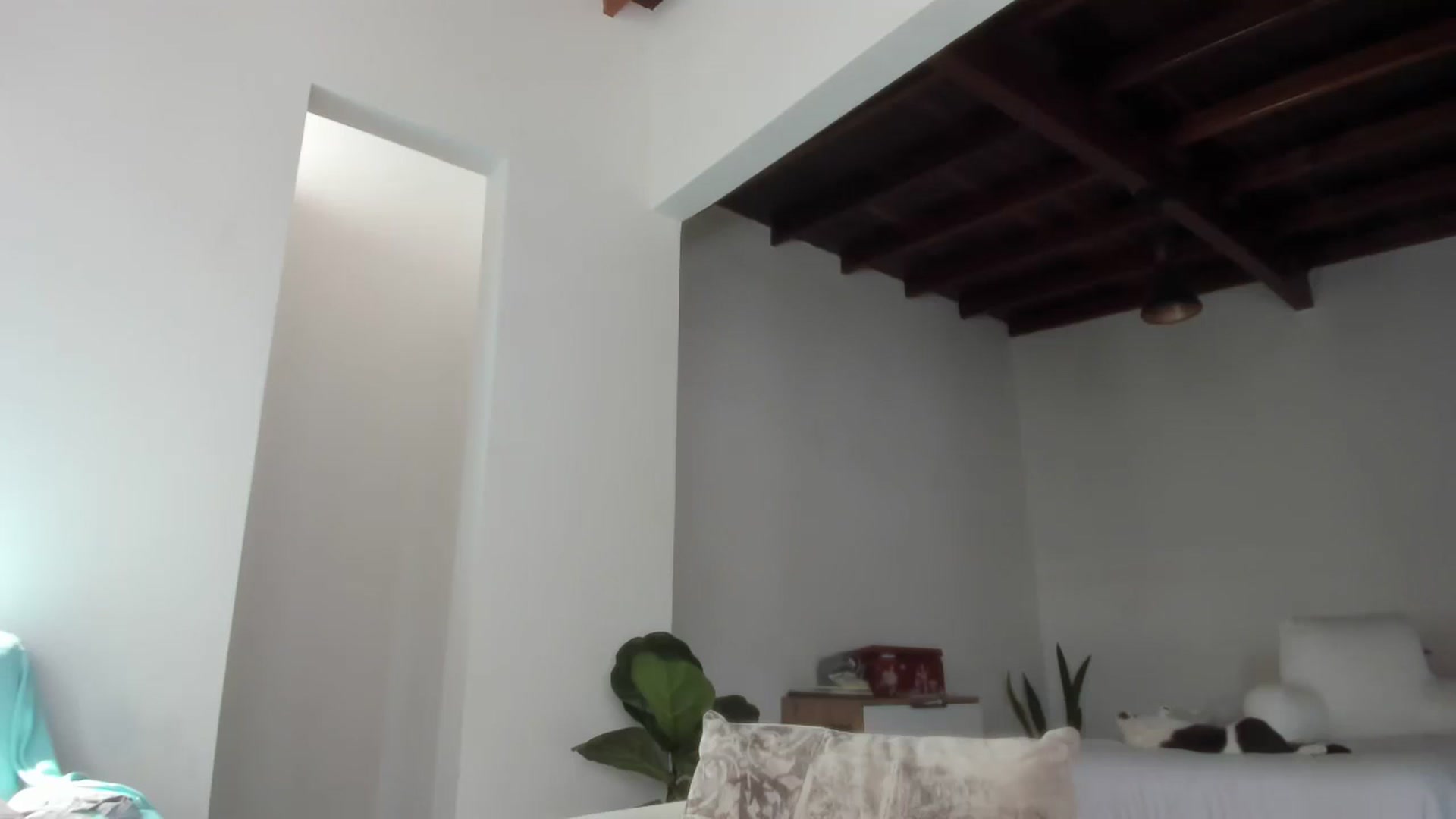 Gallery image thumbnail from LoraineMore's myfreecams stream on, 06/16/2024, 18:48 image 18 of 20