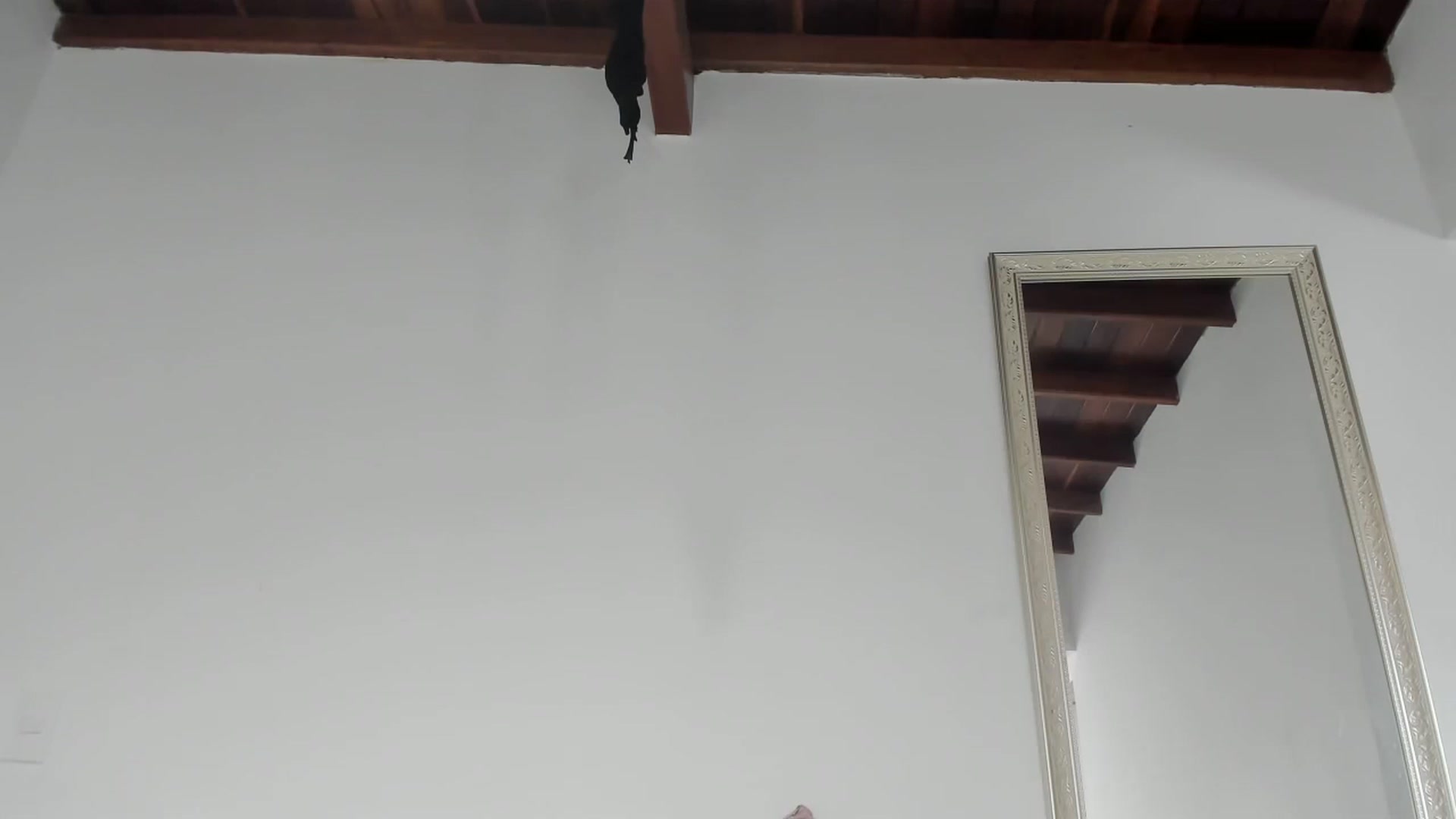 Gallery image thumbnail from Loraine_e's myfreecams stream on, 03/19/2023, 20:01 image 4 of 20
