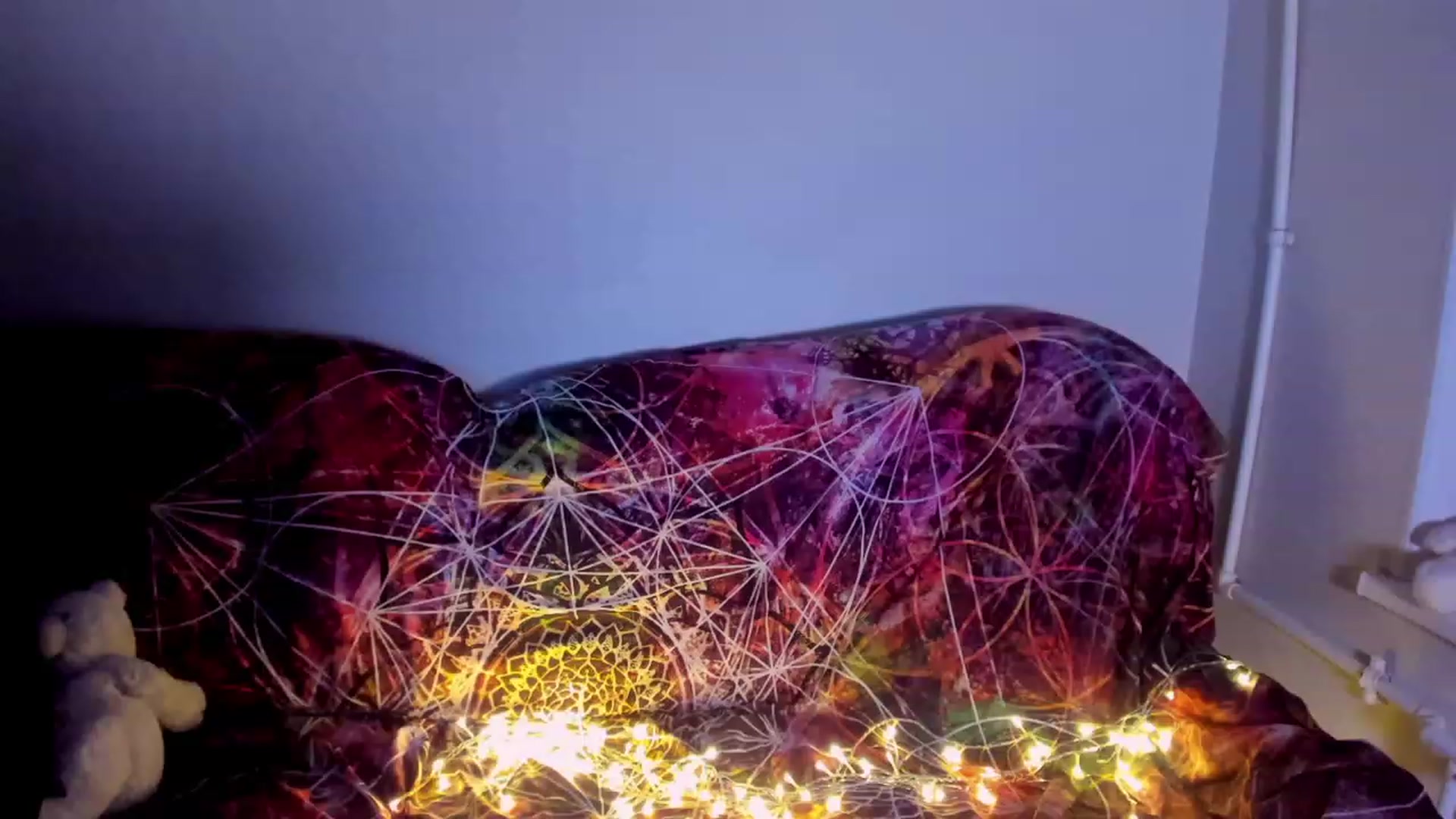 Gallery image thumbnail from LoreLaye1's myfreecams stream on, 11/20/2022, 21:00 image 18 of 20