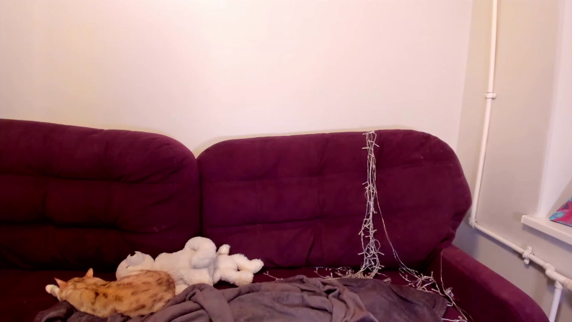 Gallery image thumbnail from LoreLaye1's myfreecams stream on, 01/01/2023, 11:20 image 17 of 20