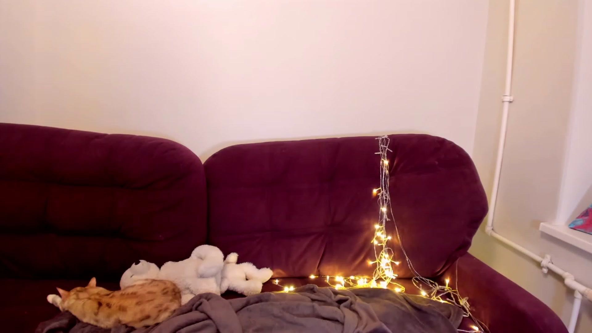 Gallery image thumbnail from LoreLaye1's myfreecams stream on, 01/01/2023, 11:20 image 19 of 20