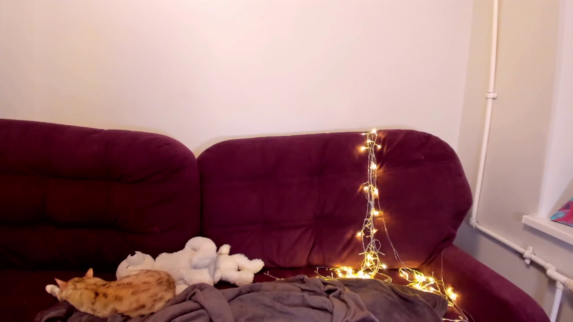 Gallery image thumbnail from LoreLaye1's myfreecams stream on, 01/01/2023, 11:20 image 18 of 20