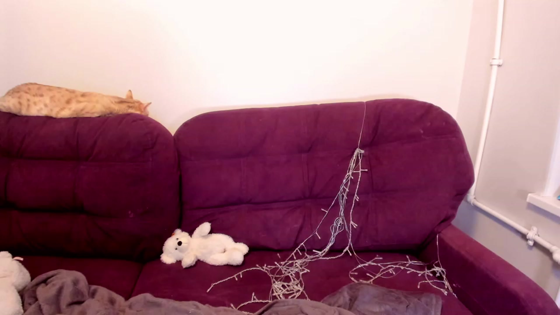 Gallery image thumbnail from LoreLaye1's myfreecams stream on, 01/01/2023, 14:12 image 18 of 20