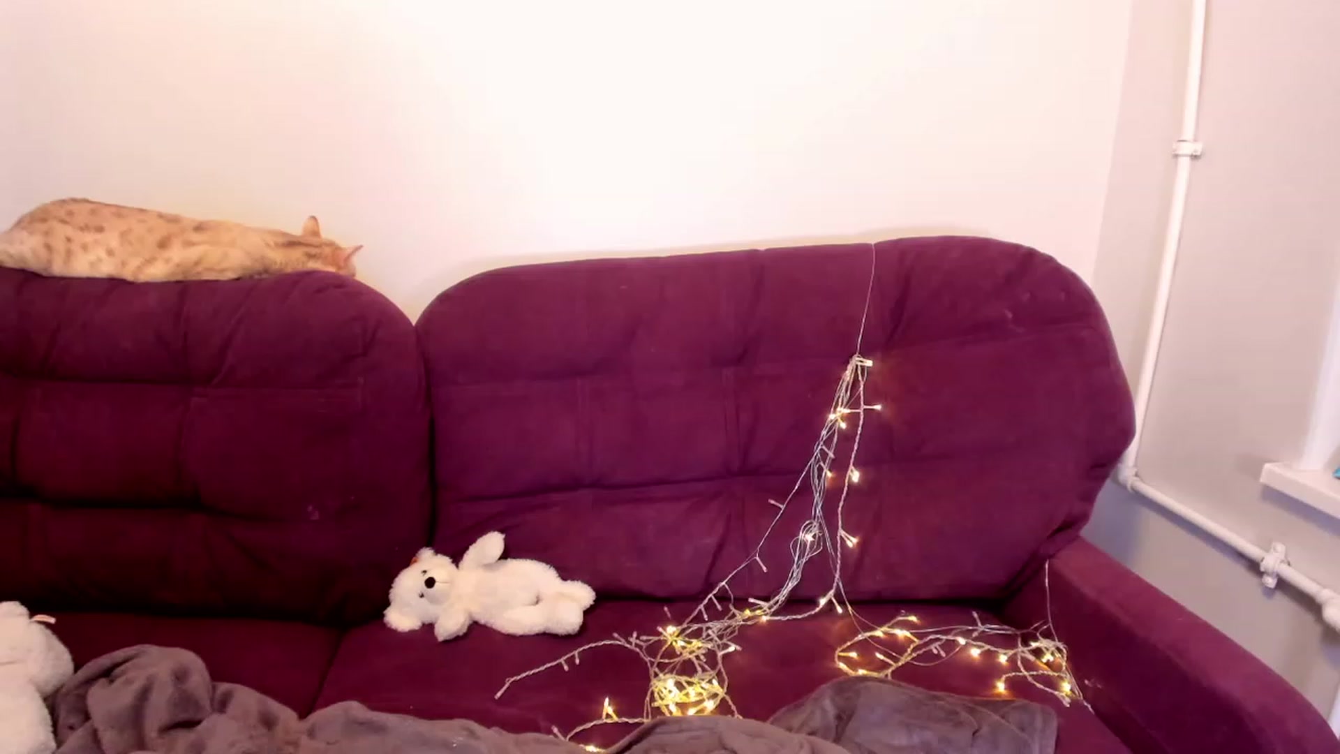 Gallery image thumbnail from LoreLaye1's myfreecams stream on, 01/01/2023, 14:12 image 19 of 20