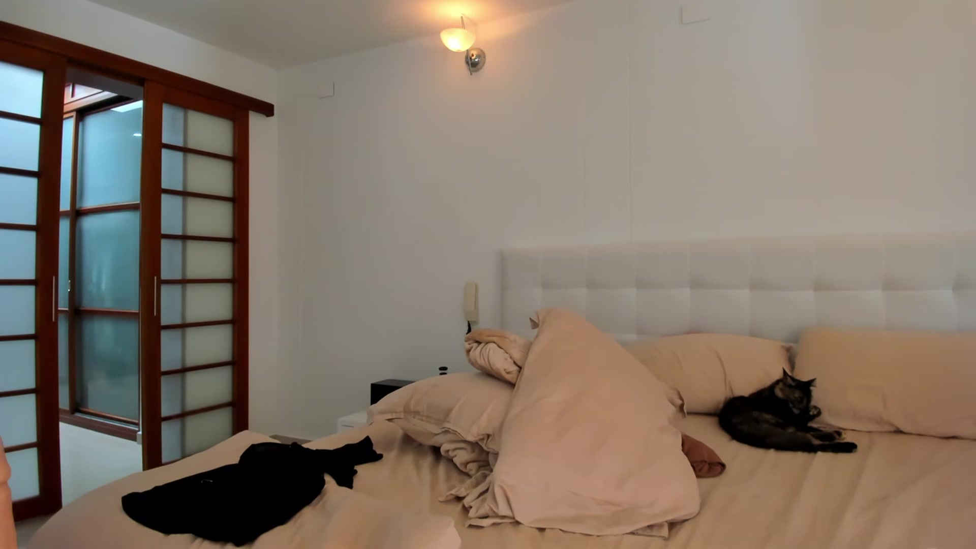 Gallery image thumbnail from Lore_23's myfreecams stream on, 01/06/2023, 18:23 image 9 of 20