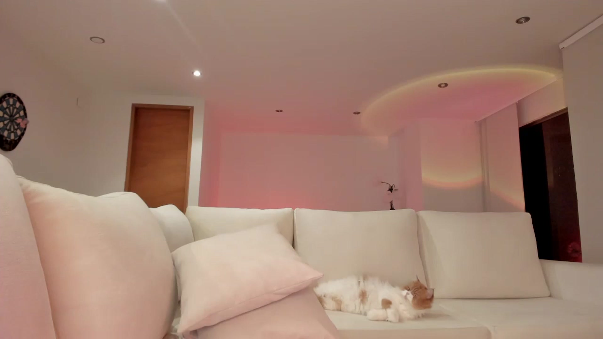 Gallery image thumbnail from Lore_23's myfreecams stream on, 06/28/2023, 07:37 image 5 of 20
