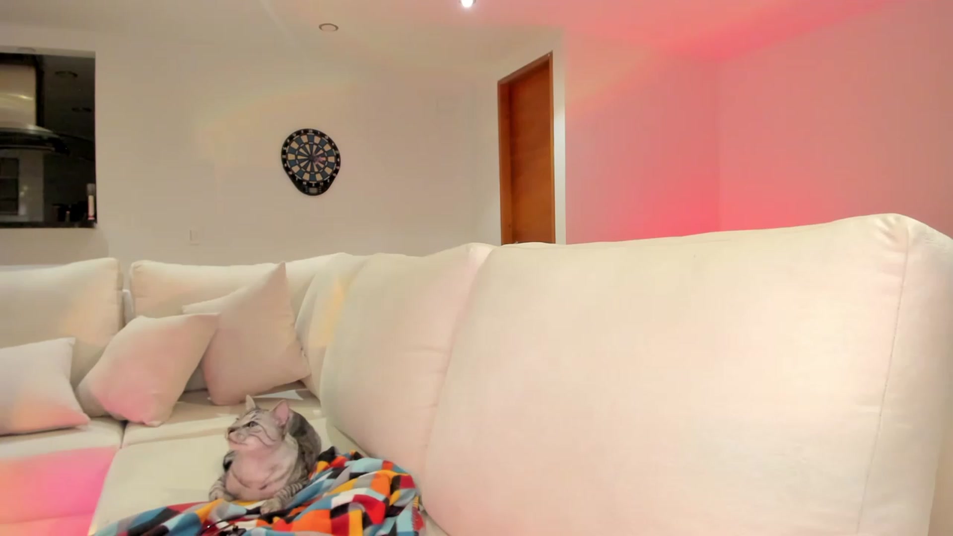 Gallery image thumbnail from Lore_23's myfreecams stream on, 07/30/2023, 06:28 image 3 of 20