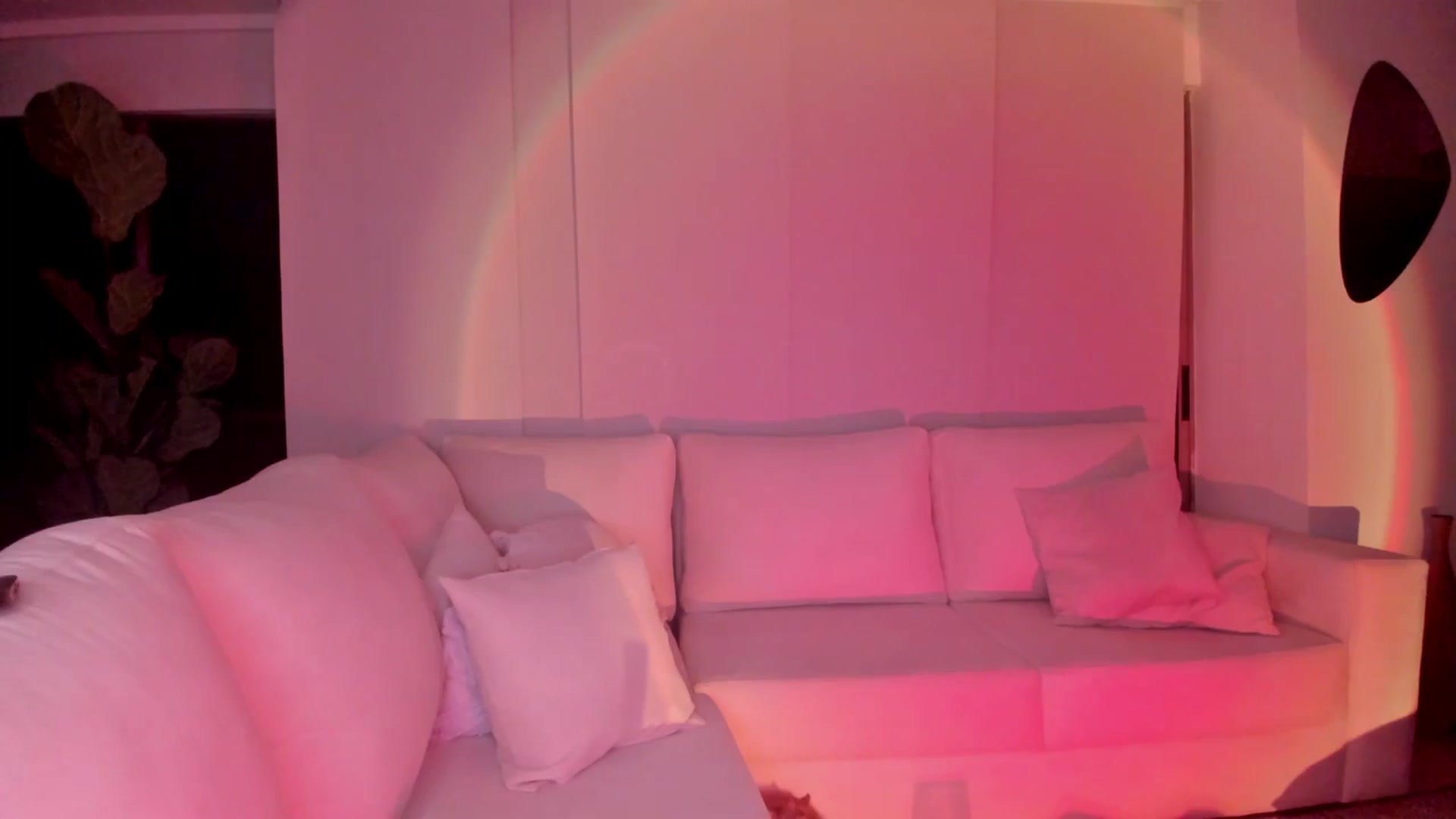 Gallery image thumbnail from Lore_23's myfreecams stream on, 09/29/2023, 06:54 image 19 of 20