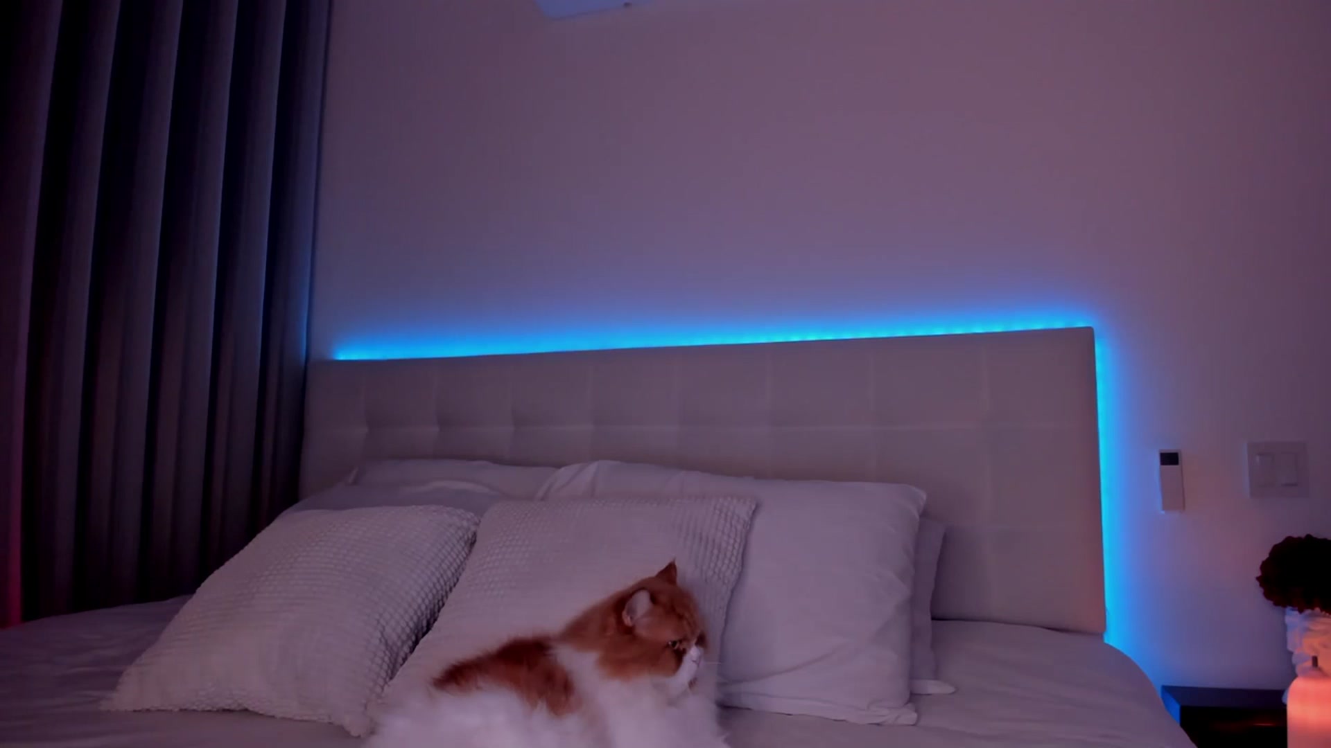 Gallery image thumbnail from Lore_23's myfreecams stream on, 01/25/2024, 03:45 image 14 of 20