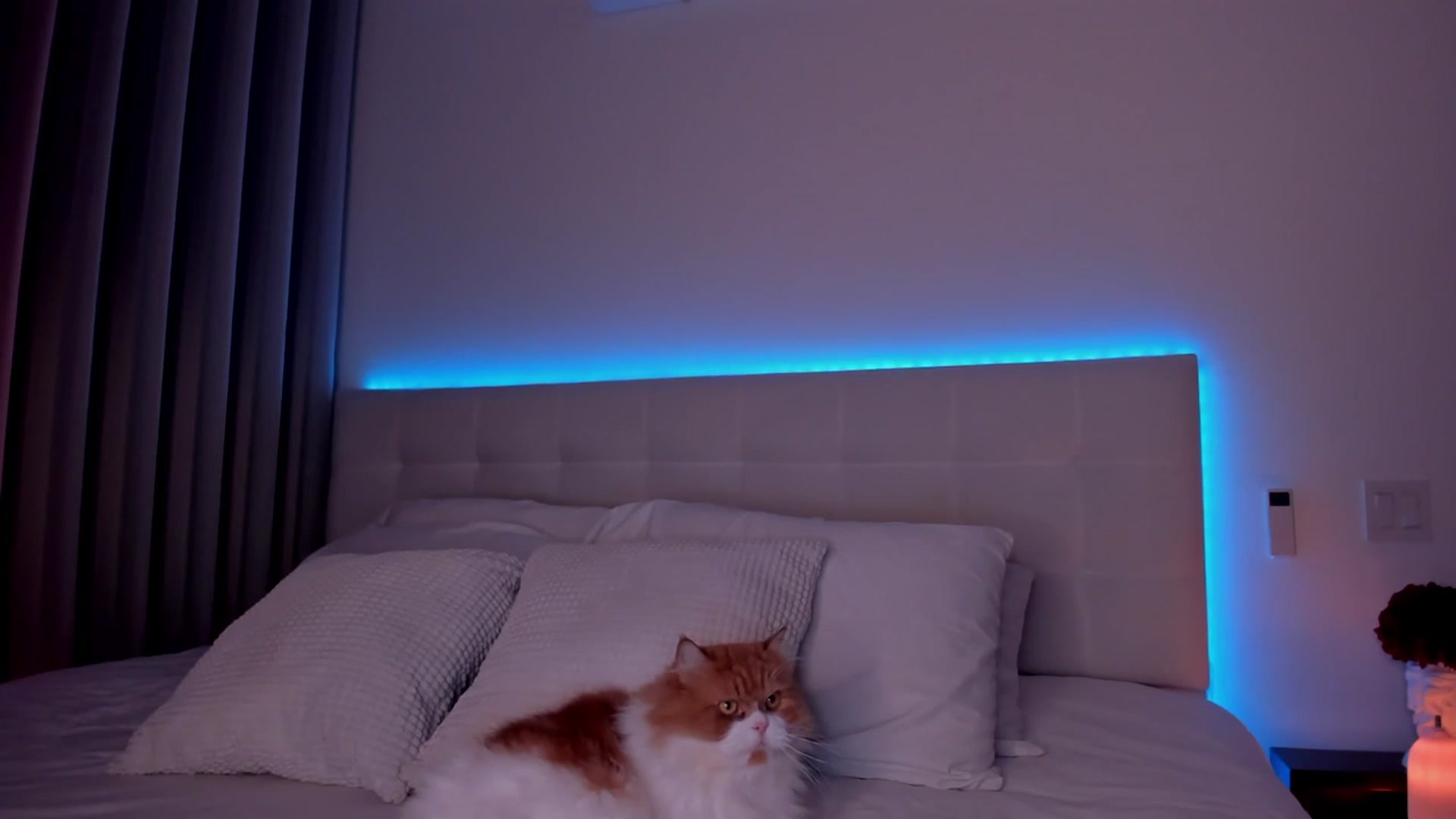 Gallery image thumbnail from Lore_23's myfreecams stream on, 01/25/2024, 03:45 image 13 of 20