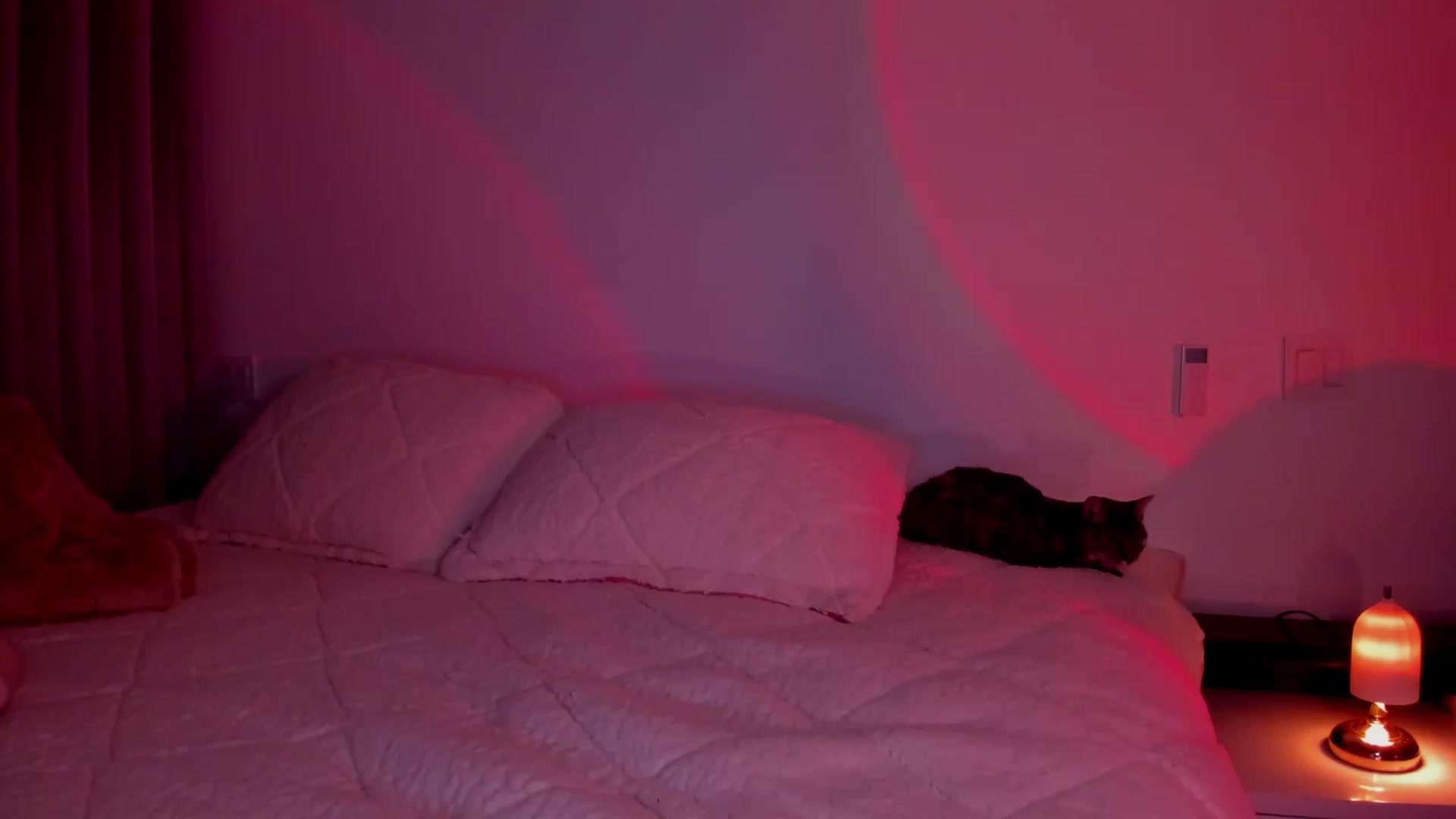 Gallery image thumbnail from Lore_23's myfreecams stream on, 06/25/2024, 06:09 image 3 of 20
