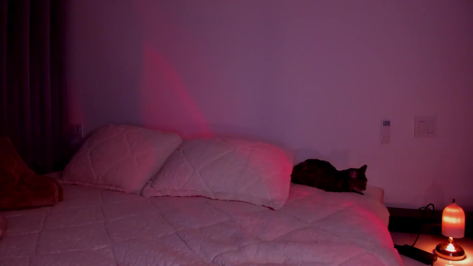 Gallery image thumbnail from Lore_23's myfreecams stream on, 06/25/2024, 06:09 image 8 of 20