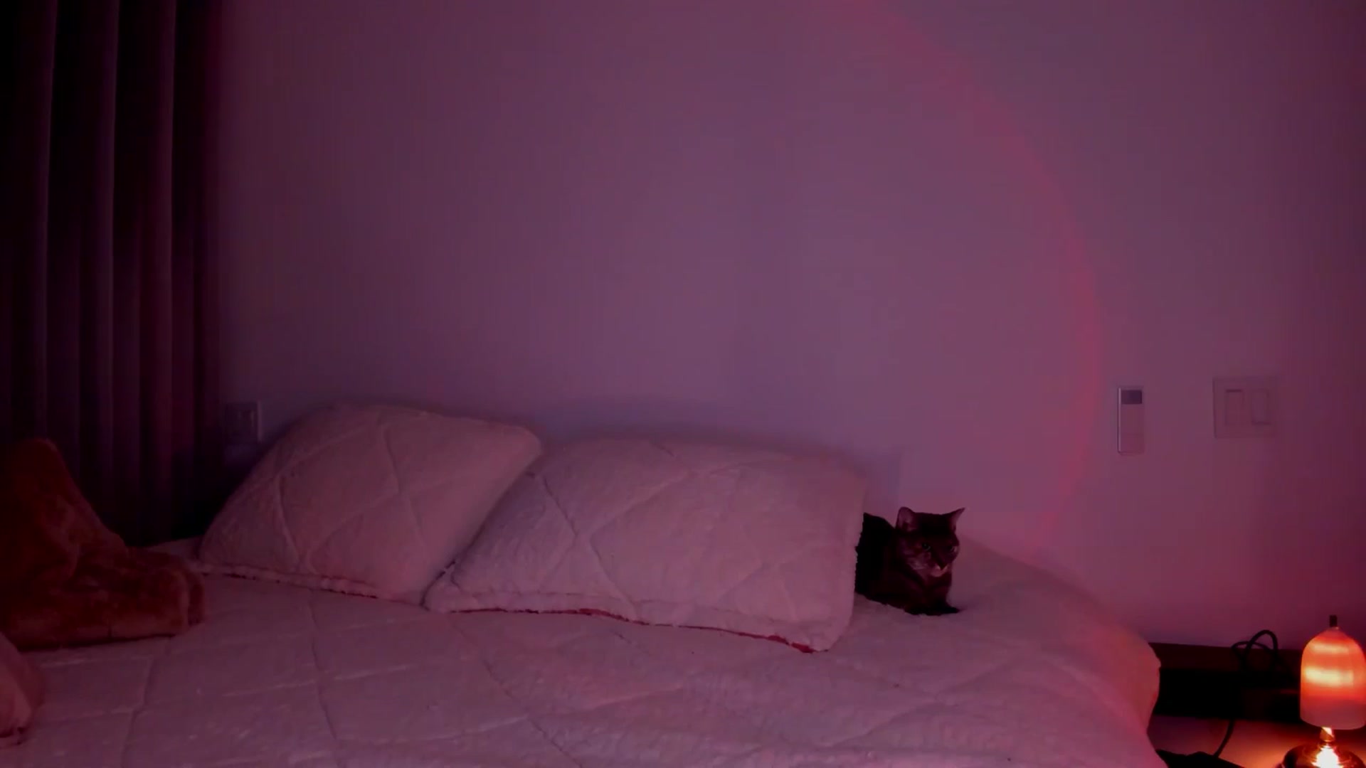 Gallery image thumbnail from Lore_23's myfreecams stream on, 06/25/2024, 06:09 image 17 of 20
