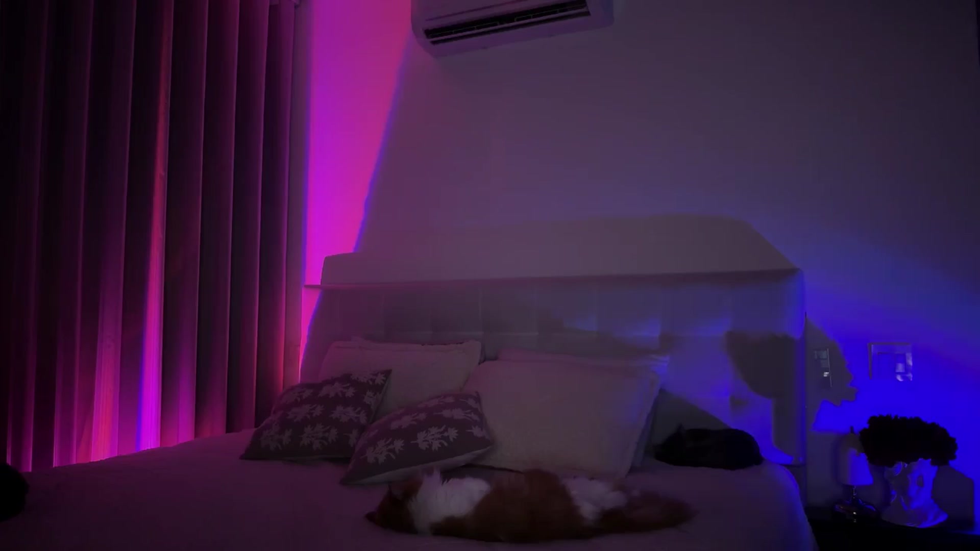 Gallery image thumbnail from Lore_23's myfreecams stream on, 08/28/2024, 03:53 image 7 of 20
