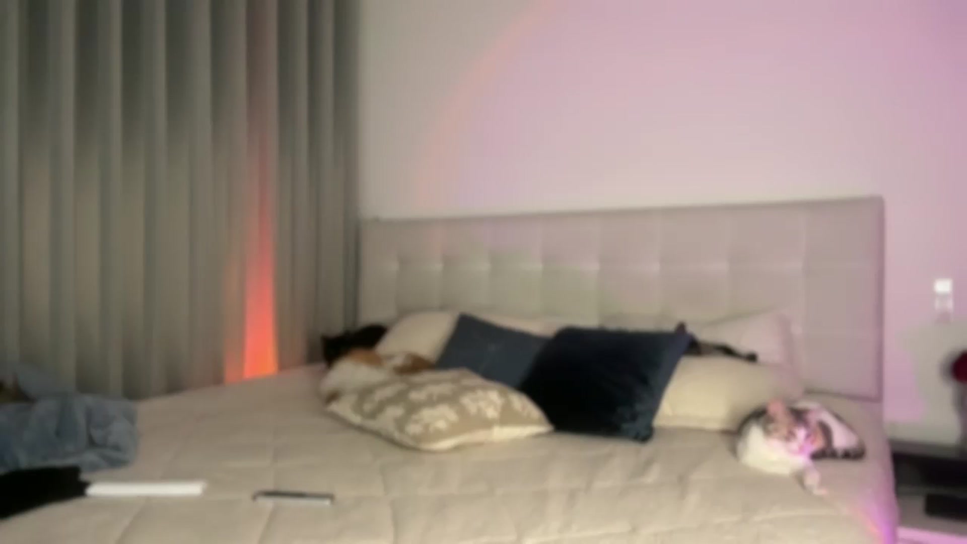 Gallery image thumbnail from Lore_23's myfreecams stream on, 10/13/2024, 07:06 image 12 of 20