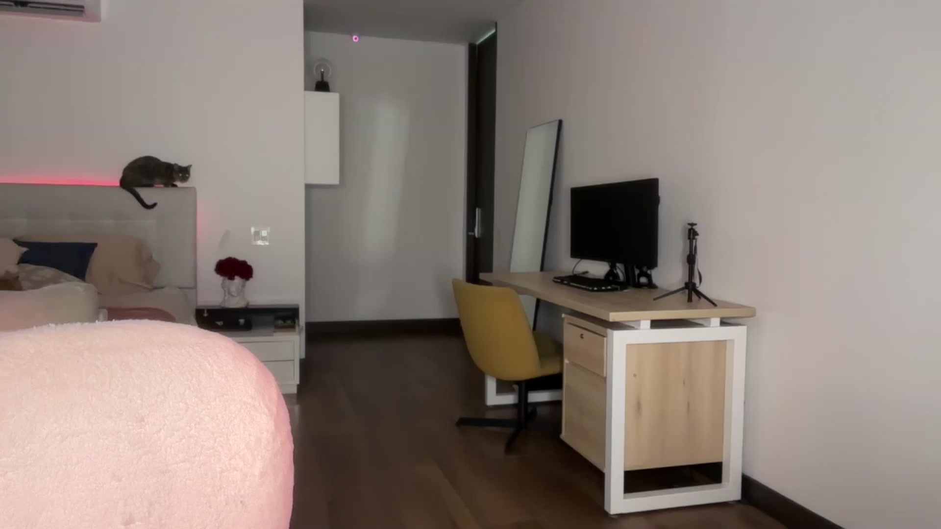 Gallery image thumbnail from Lore_23's myfreecams stream on, 01/31/2025, 07:30 image 8 of 20
