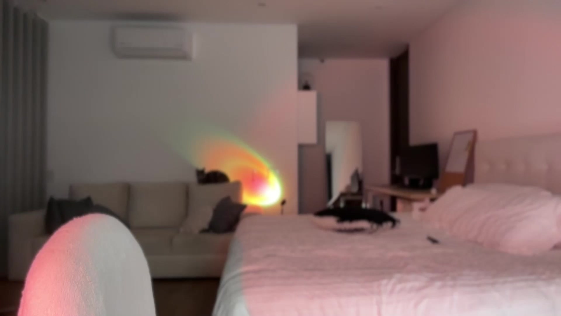 Gallery image thumbnail from Lore_23's myfreecams stream on, 04/06/2025, 05:21 image 12 of 20