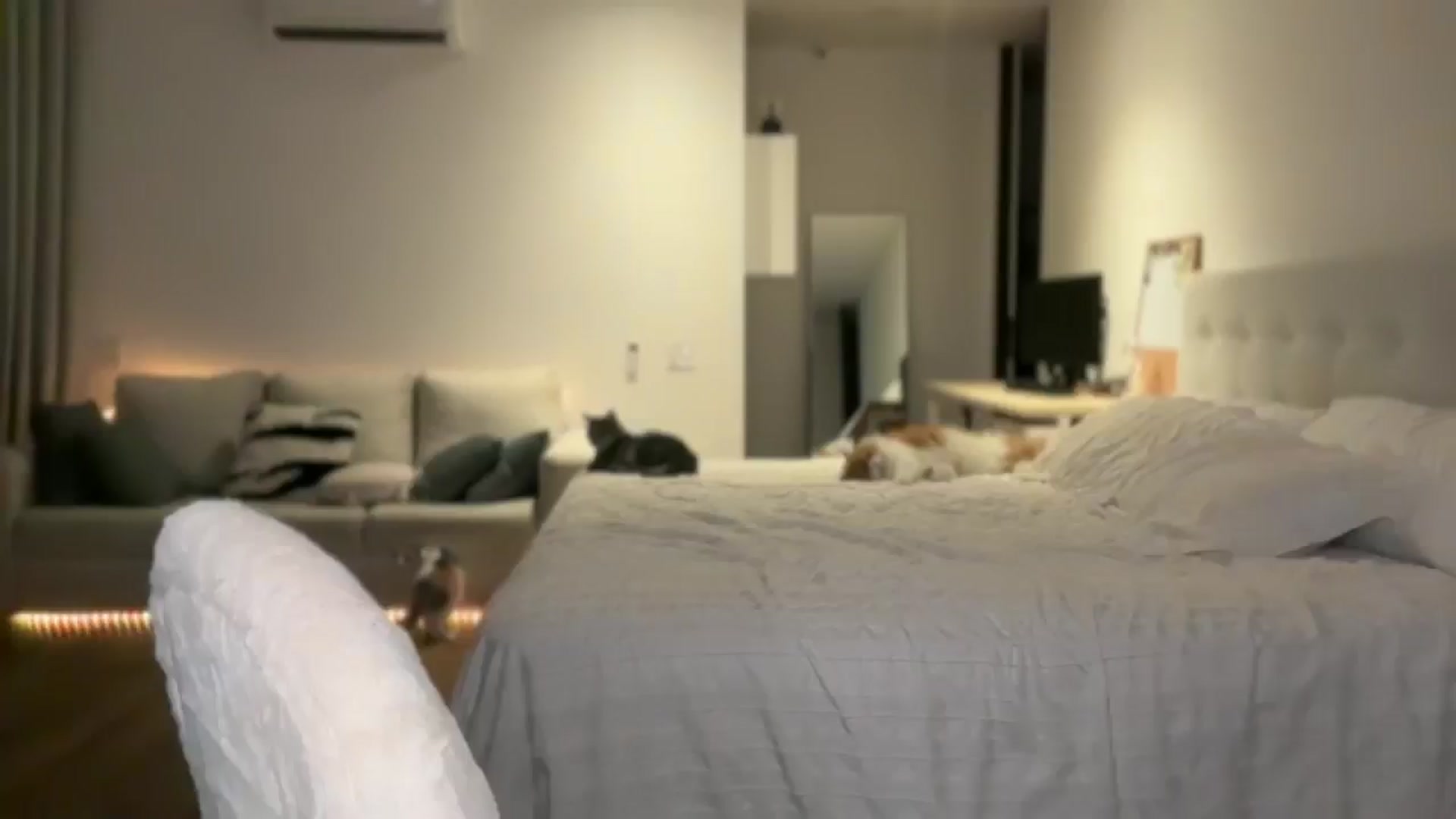 Gallery image thumbnail from Lore_23's myfreecams stream on, 05/27/2025, 05:07 image 8 of 20