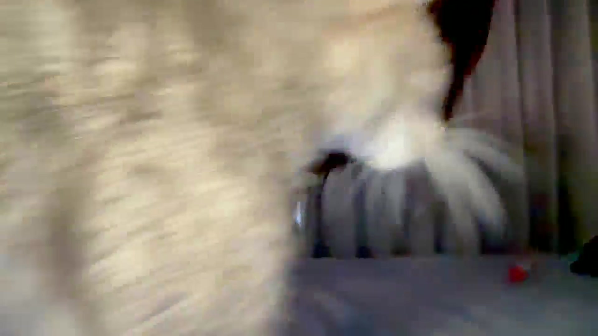 Gallery image thumbnail from Lore_23's myfreecams stream on, 10/25/2025, 08:19 image 5 of 20