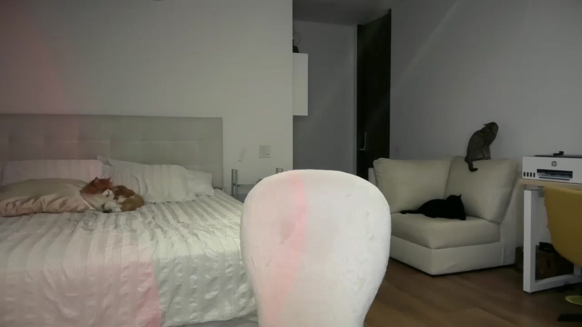Gallery image thumbnail from Lore_23's myfreecams stream on, 01/24/2026, 07:03 image 16 of 20