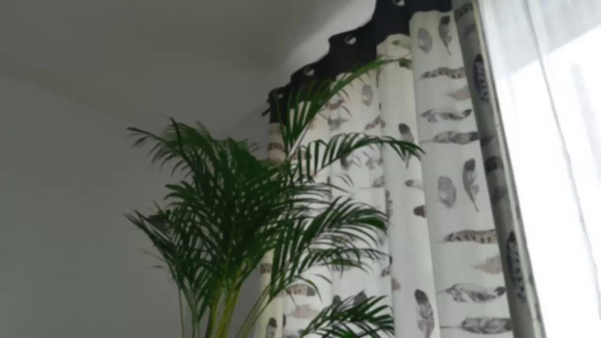 Gallery image thumbnail from LorenAmeliy's myfreecams stream on, 07/08/2026, 08:54 image 17 of 20