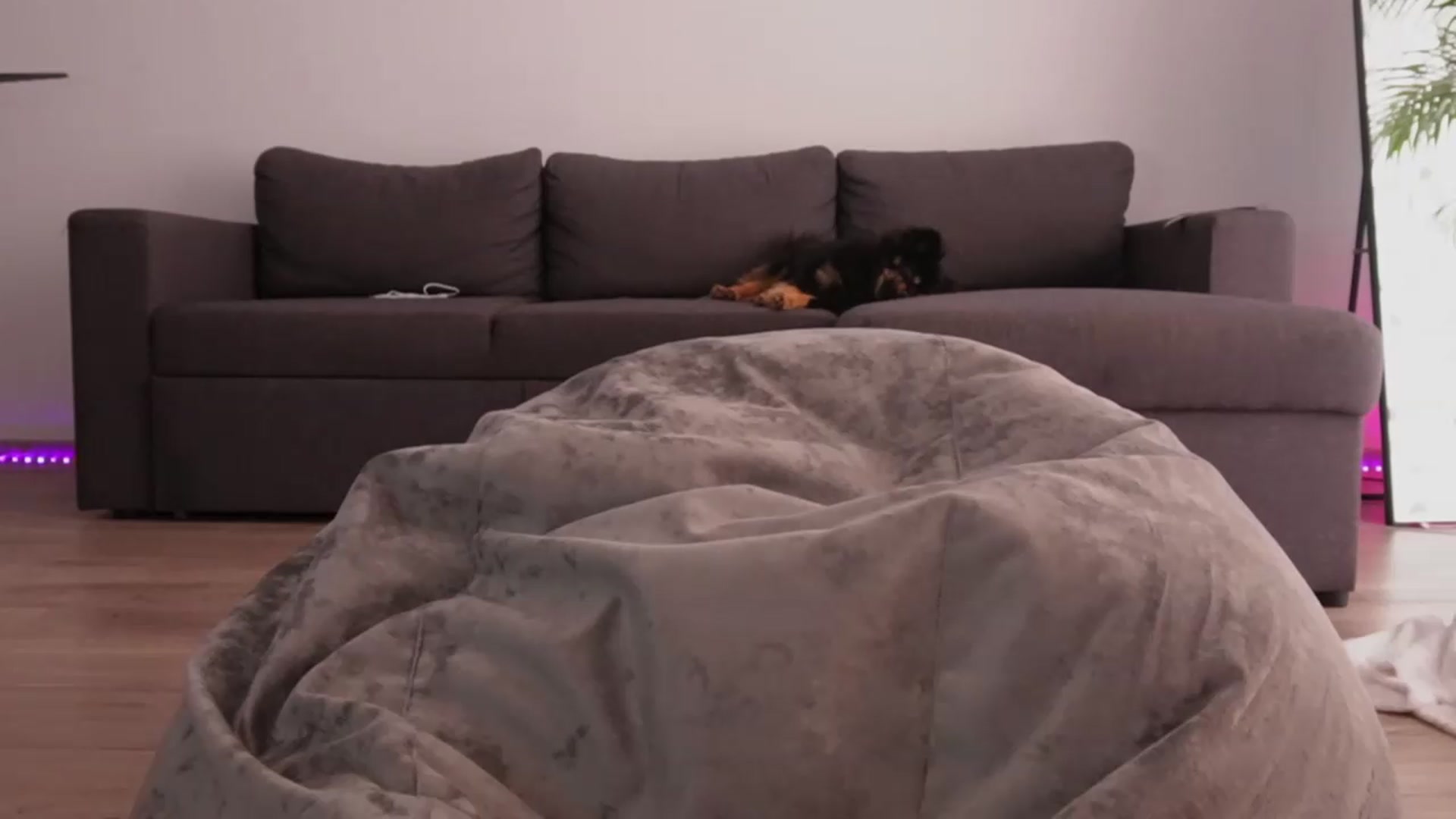 Gallery image thumbnail from LorenAmeliy's myfreecams stream on, 07/19/2026, 07:25 image 10 of 20