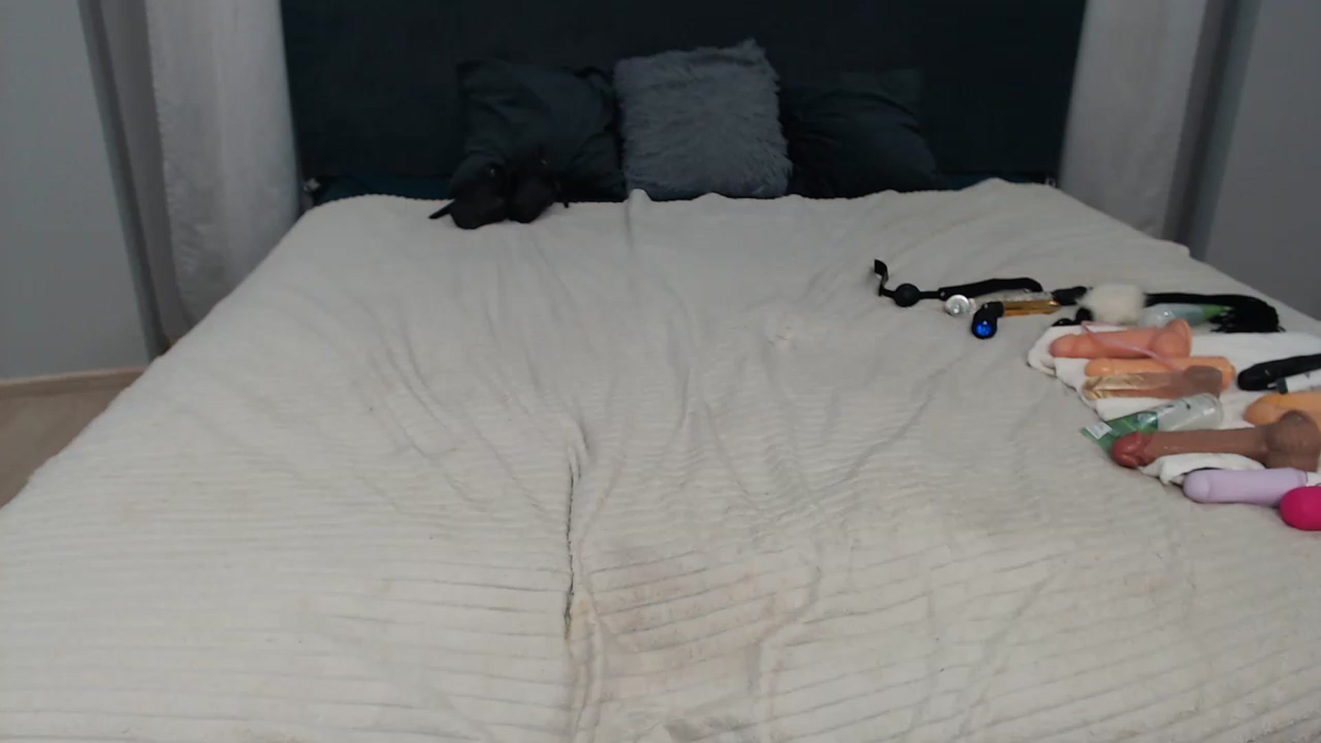 Gallery image thumbnail from Loren_Ray's myfreecams stream on, 11/18/2022, 10:46 image 16 of 20