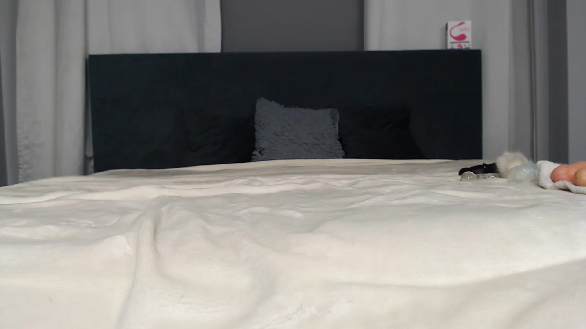 Gallery image thumbnail from Loren_Ray's myfreecams stream on, 11/27/2022, 10:35 image 2 of 20