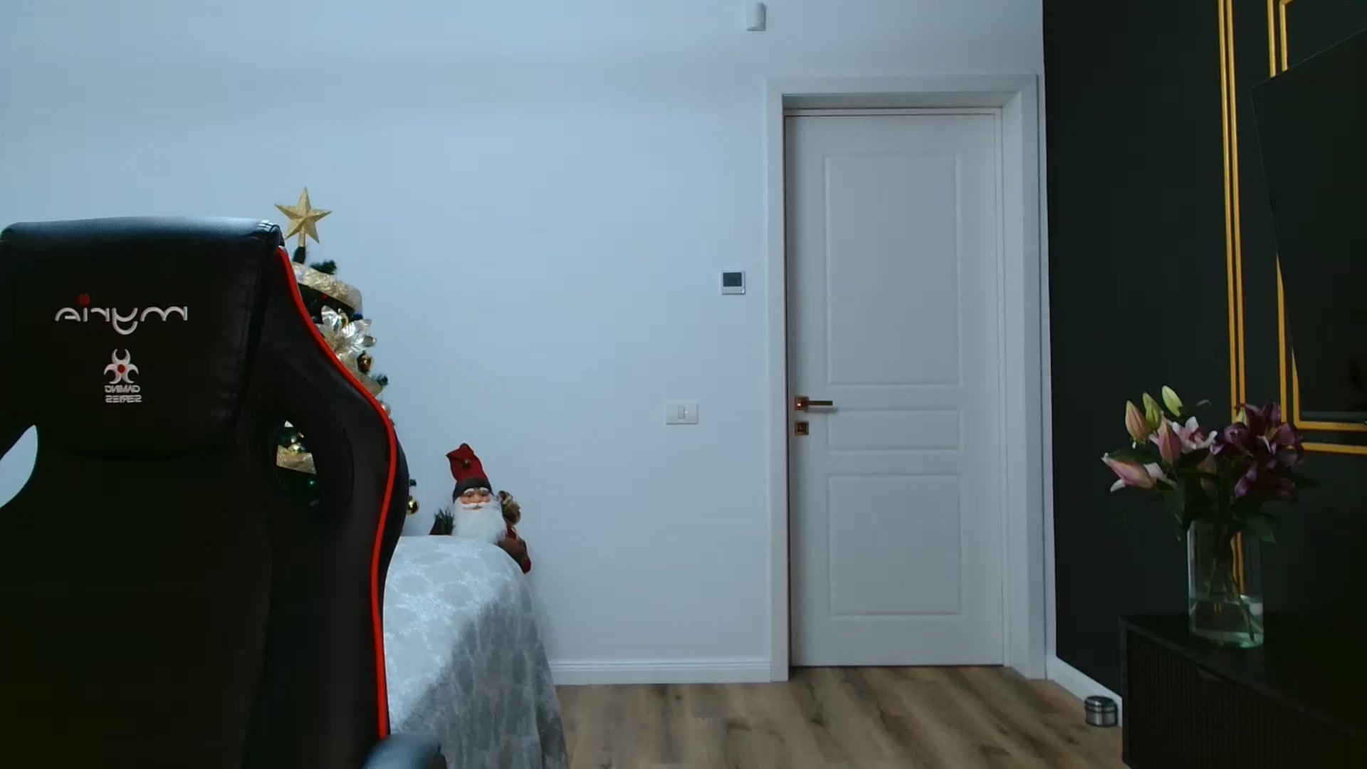 Gallery image thumbnail from LoryBell's myfreecams stream on, 12/26/2024, 24:15 image 9 of 20