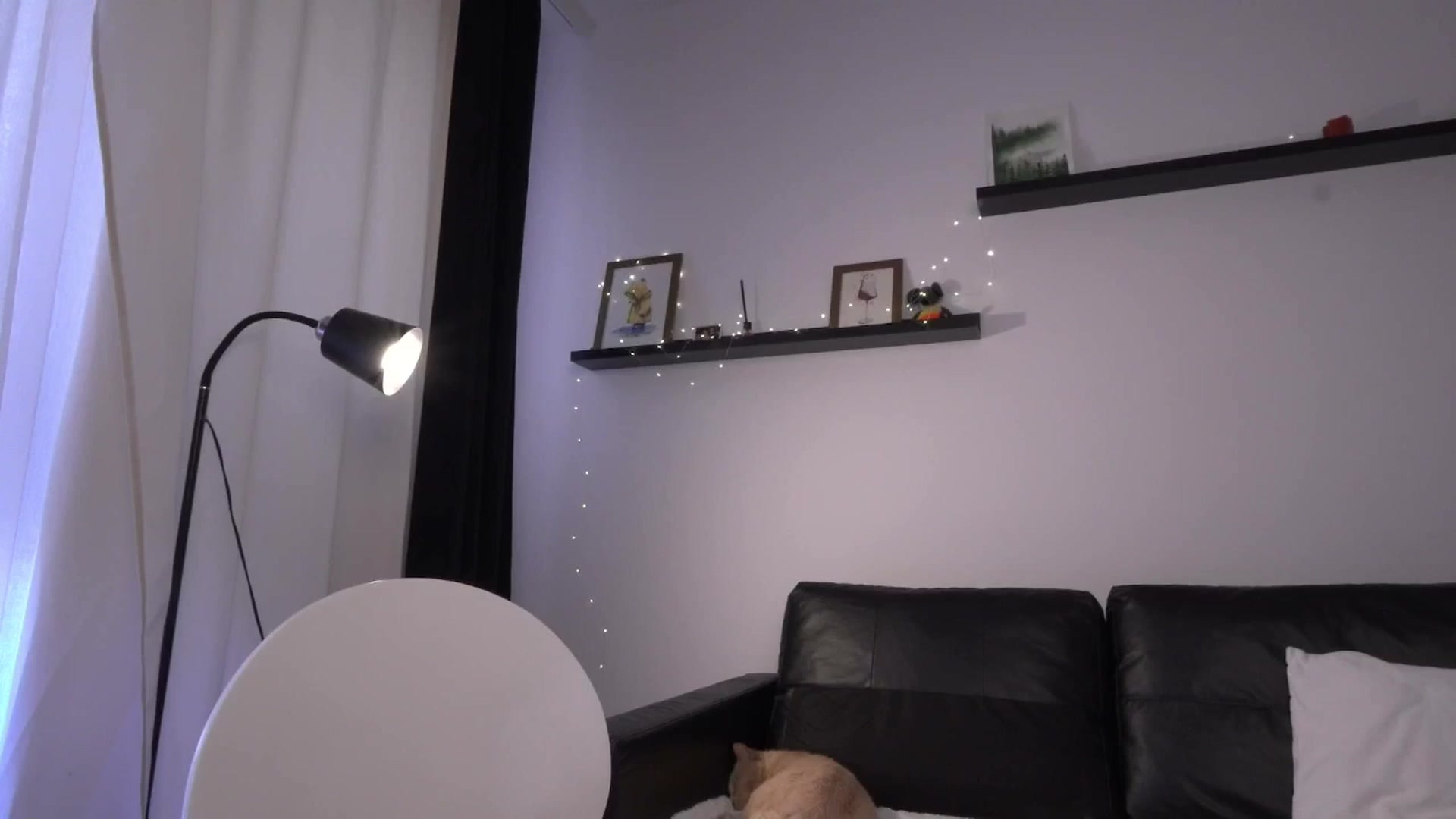 Gallery image thumbnail from LoveAmeli's myfreecams stream on, 04/26/2026, 18:27 image 10 of 20
