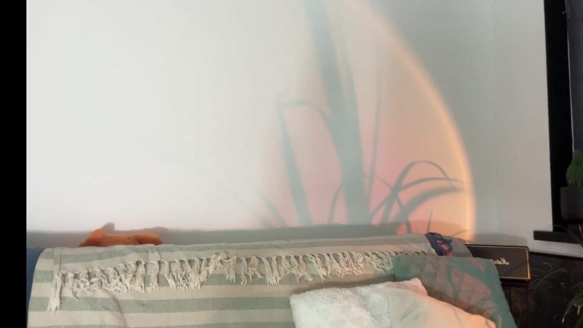 Gallery image thumbnail from LovelyBvnny's myfreecams stream on, 06/19/2023, 15:02 image 6 of 20