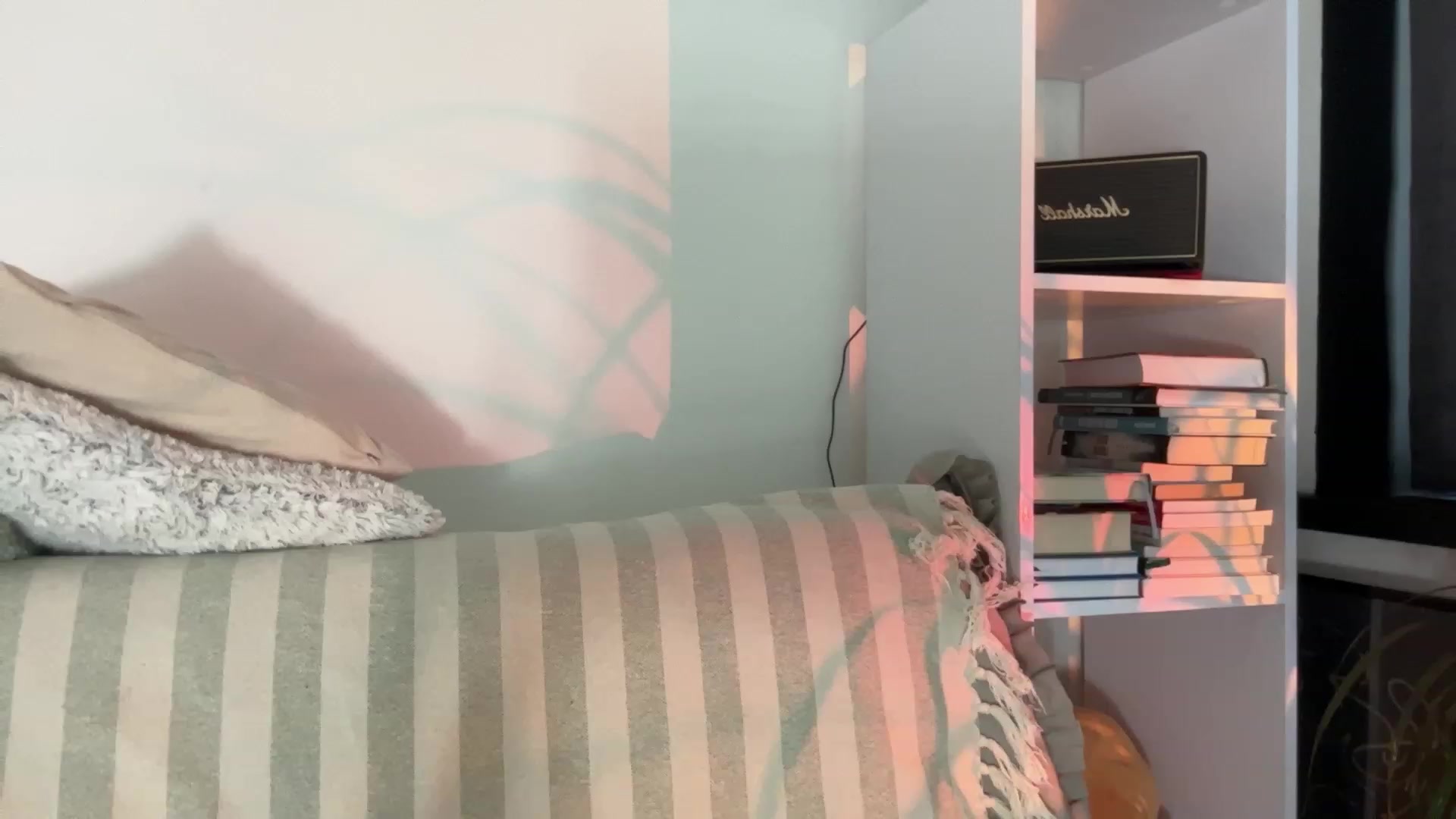 Gallery image thumbnail from LovelyBvnny's myfreecams stream on, 07/23/2023, 15:19 image 20 of 20