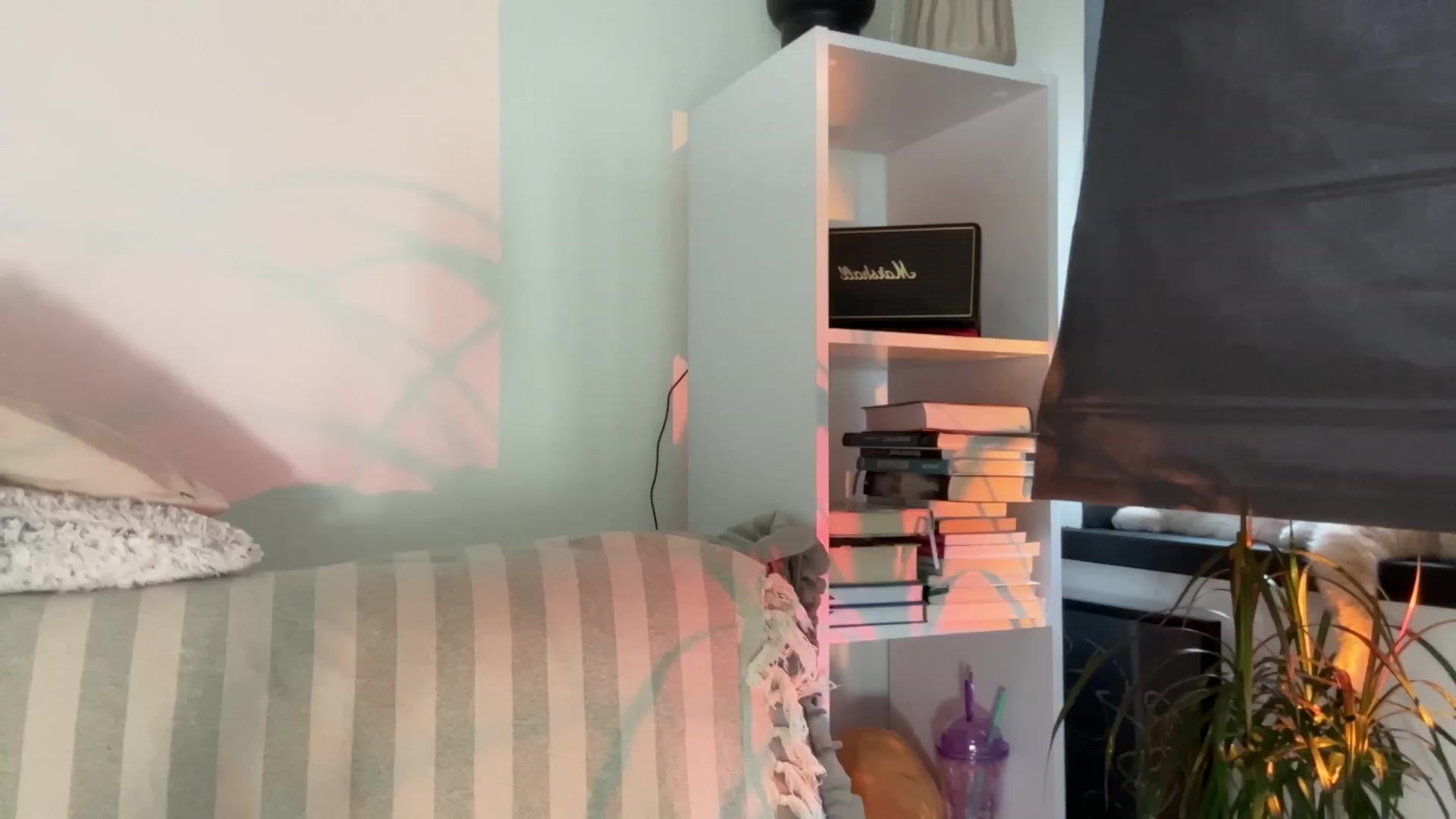 Gallery image thumbnail from LovelyBvnny's myfreecams stream on, 07/23/2023, 17:18 image 9 of 20