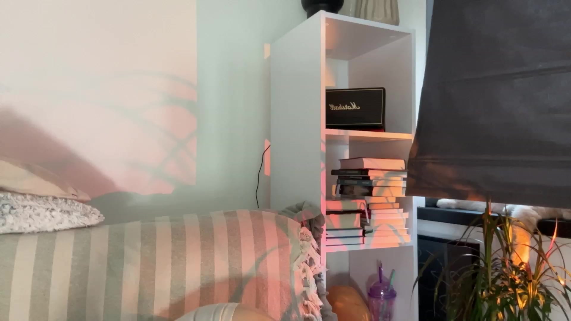 Gallery image thumbnail from LovelyBvnny's myfreecams stream on, 07/23/2023, 17:18 image 8 of 20