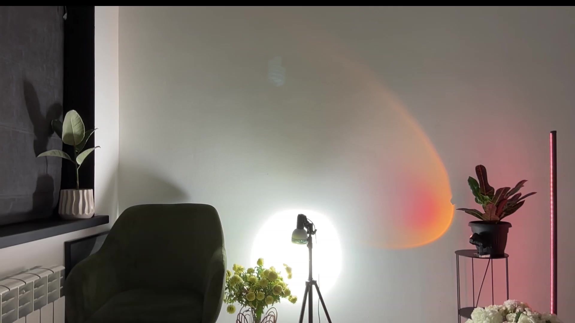 Gallery image thumbnail from LovelyBvnny's myfreecams stream on, 11/25/2023, 16:14 image 17 of 20