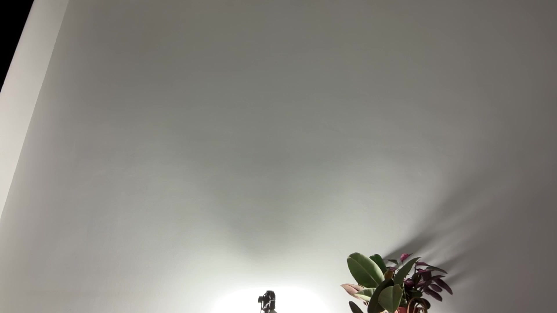 Gallery image thumbnail from LovelyBvnny's myfreecams stream on, 02/29/2024, 18:12 image 9 of 20