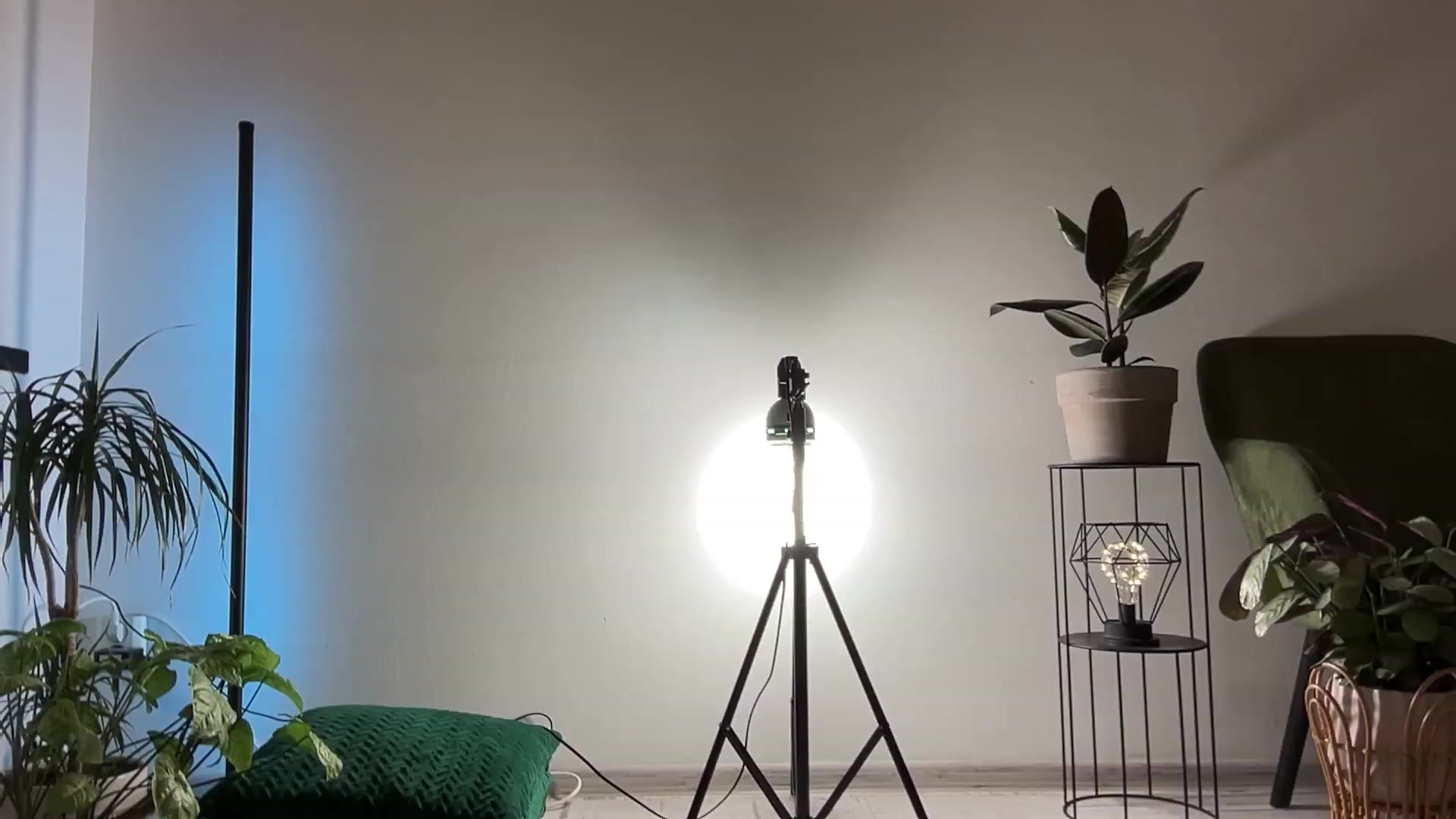 Gallery image thumbnail from LovelyBvnny's myfreecams stream on, 03/15/2024, 18:55 image 9 of 20