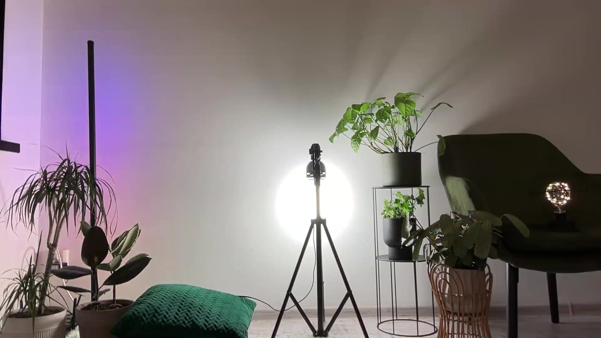 Gallery image thumbnail from LovelyBvnny's myfreecams stream on, 03/19/2024, 17:48 image 10 of 20