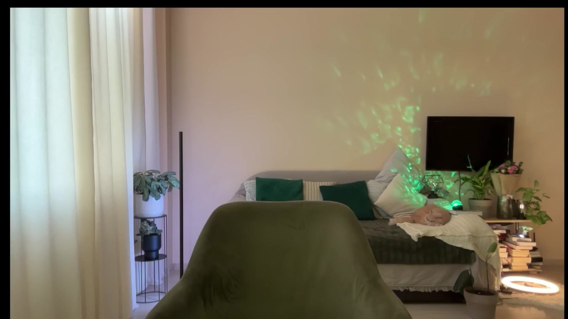 Gallery image thumbnail from LovelyBvnny's myfreecams stream on, 03/26/2025, 14:39 image 8 of 20