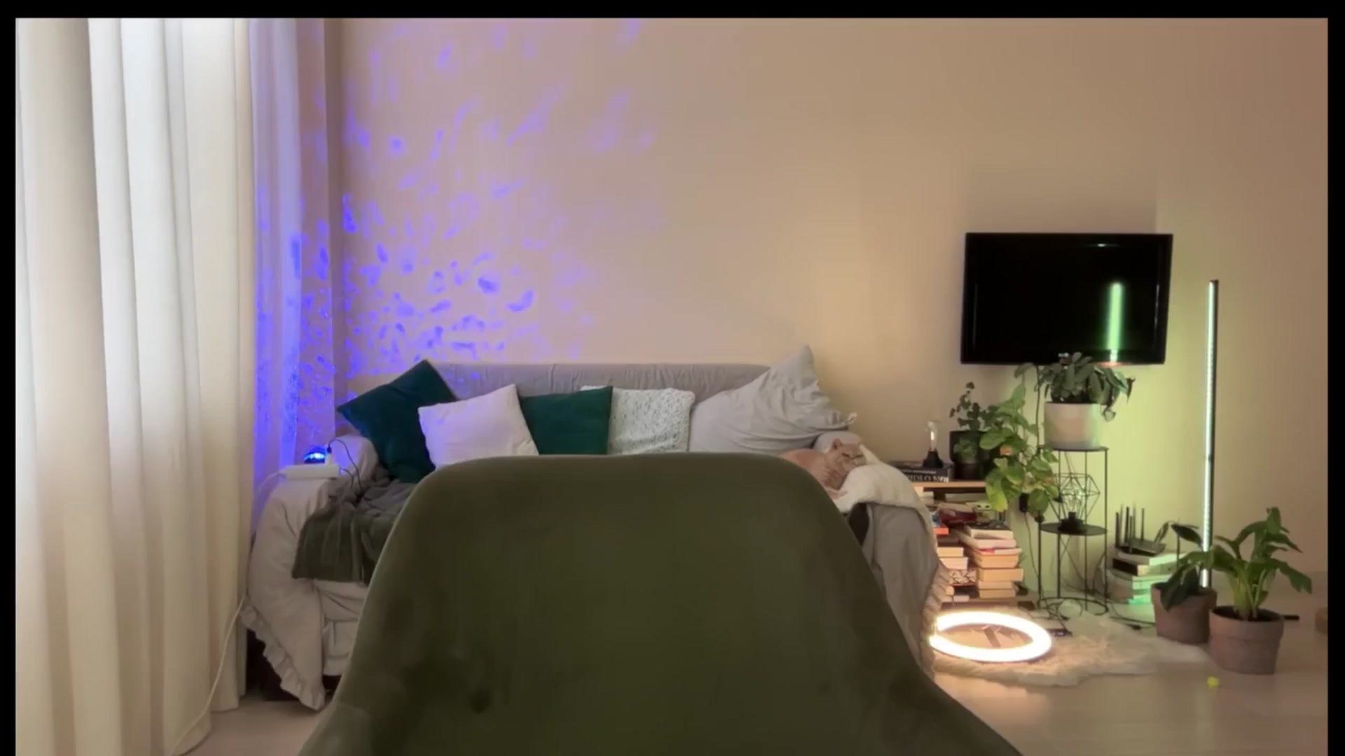 Gallery image thumbnail from LovelyBvnny's myfreecams stream on, 05/16/2025, 15:02 image 12 of 20