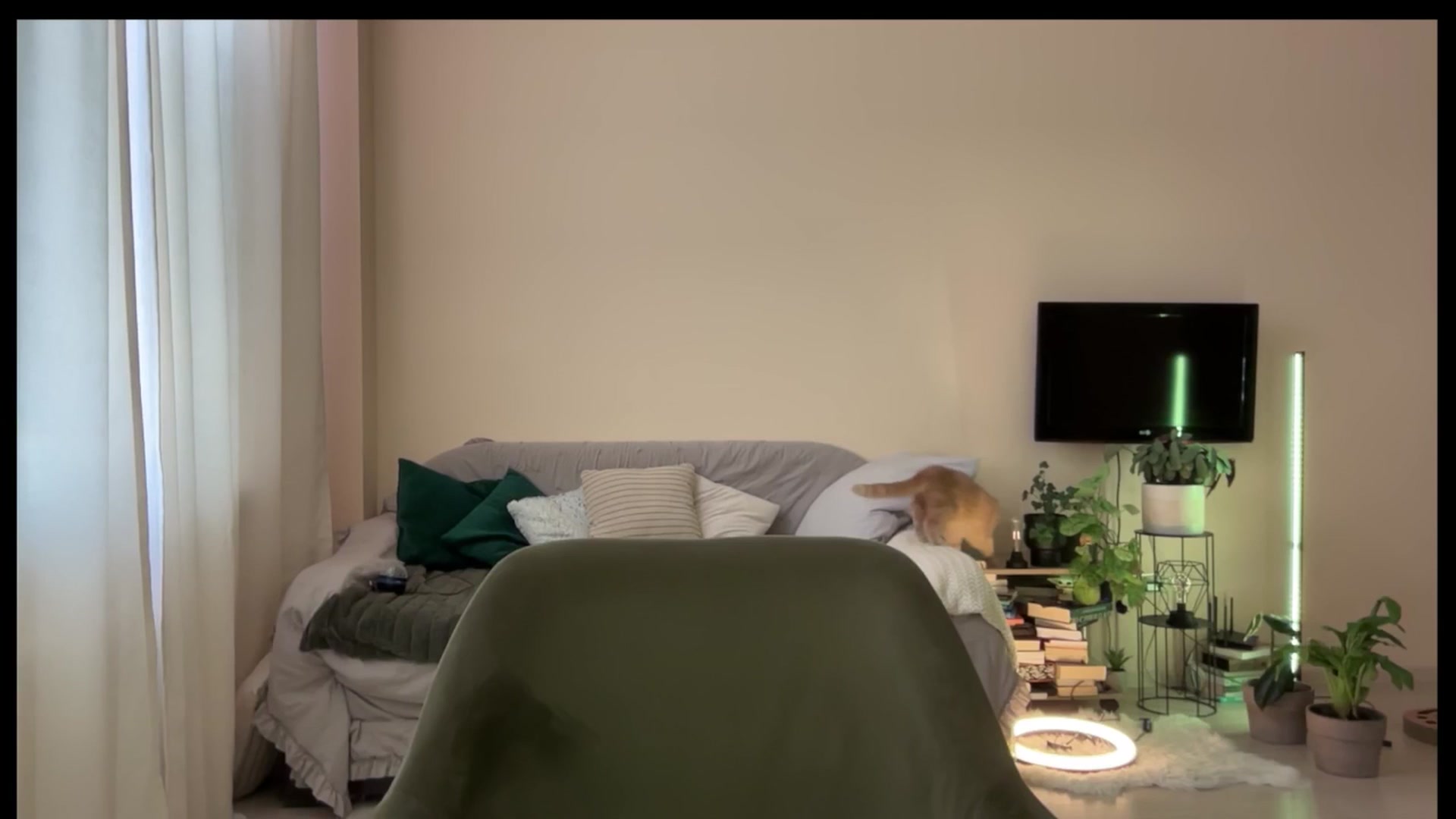 Gallery image thumbnail from LovelyBvnny's myfreecams stream on, 05/19/2025, 14:59 image 1 of 20