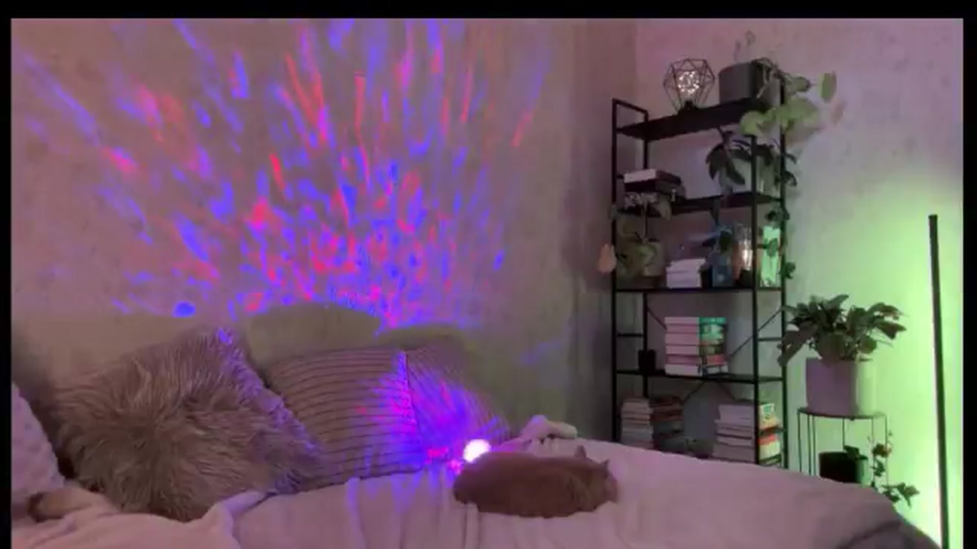 Gallery image thumbnail from LovelyBvnny's myfreecams stream on, 10/14/2025, 15:32 image 7 of 20