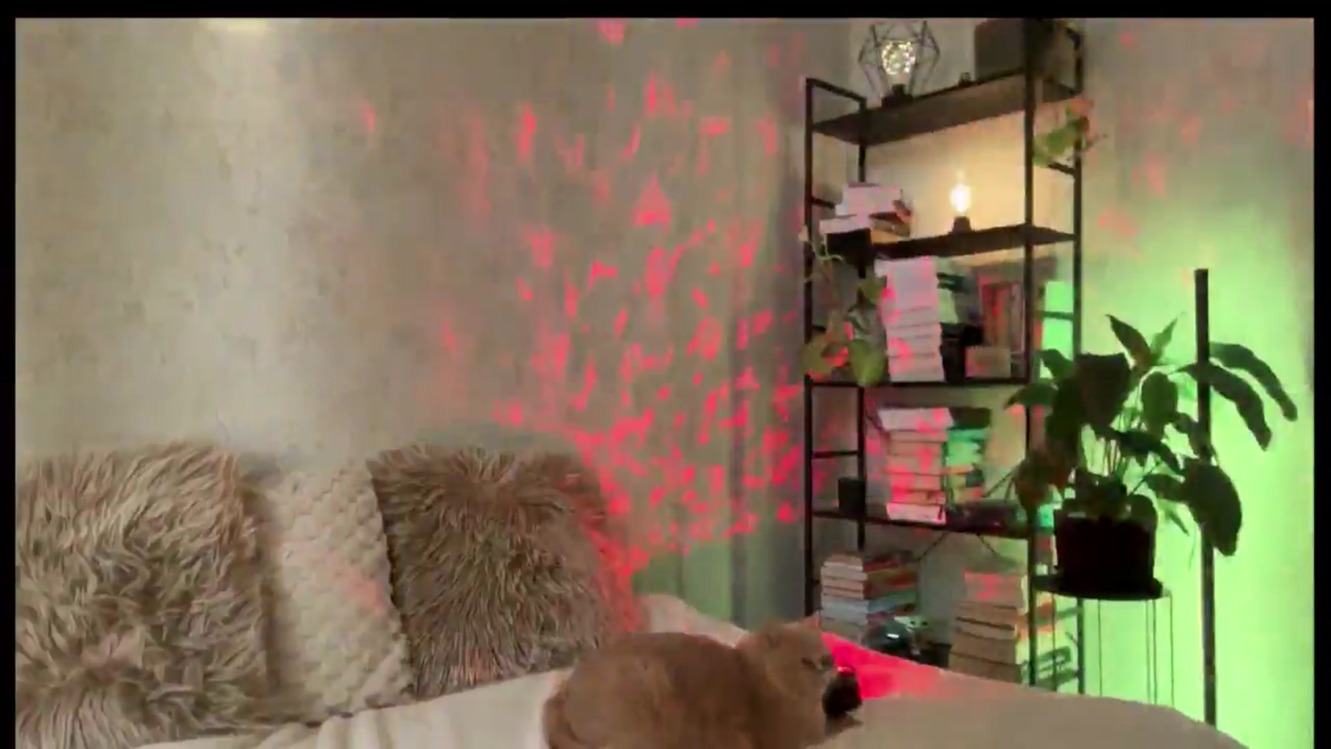 Gallery image thumbnail from LovelyBvnny's myfreecams stream on, 01/13/2026, 14:13 image 8 of 20
