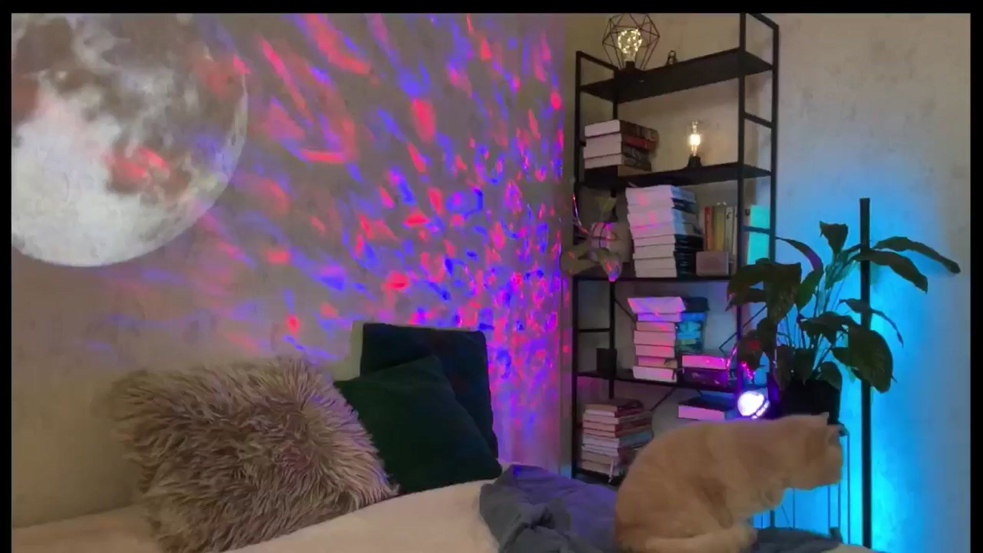 Gallery image thumbnail from LovelyBvnny's myfreecams stream on, 02/23/2026, 16:24 image 5 of 20